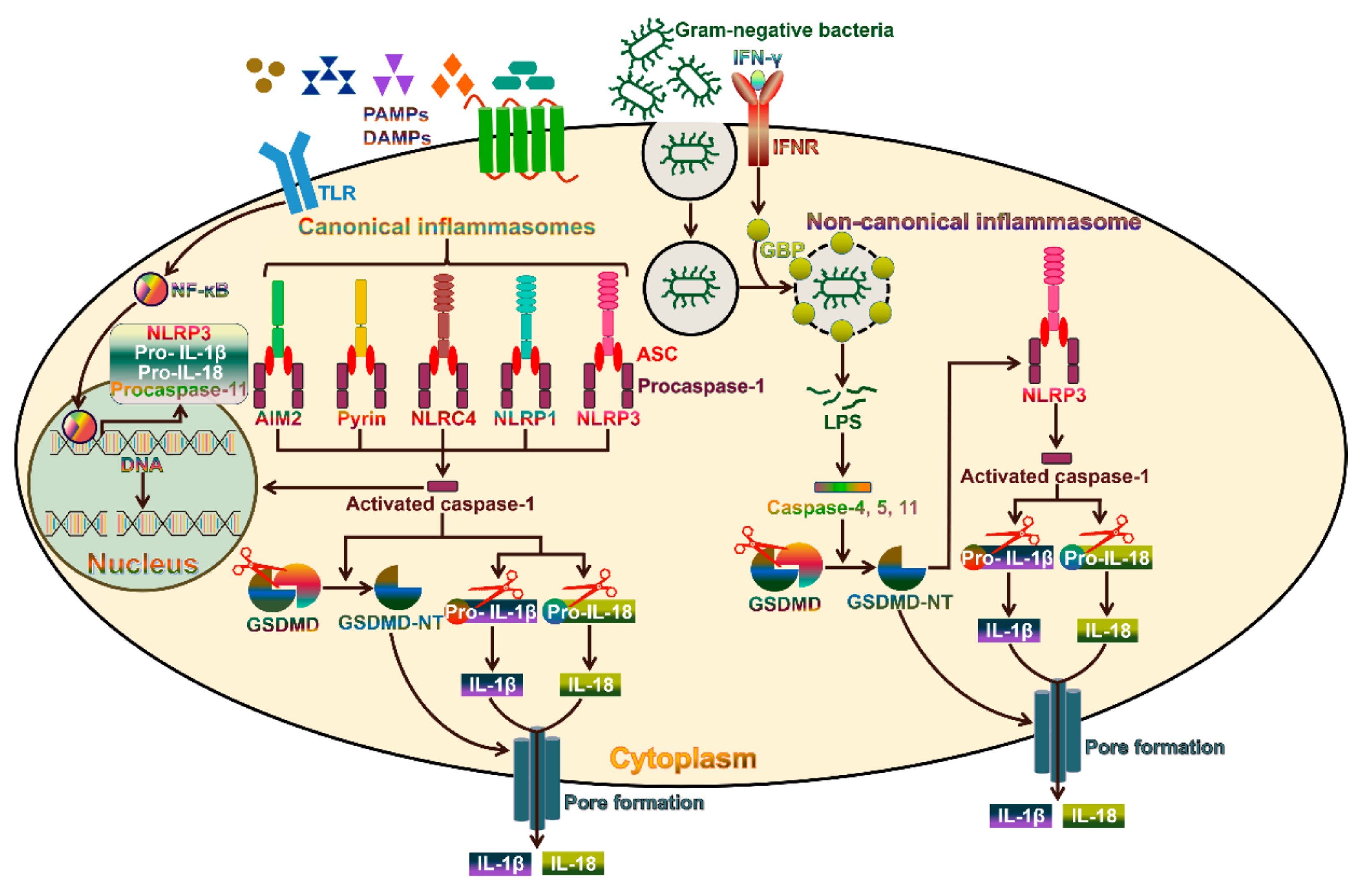 Cancers 11 01313 g001