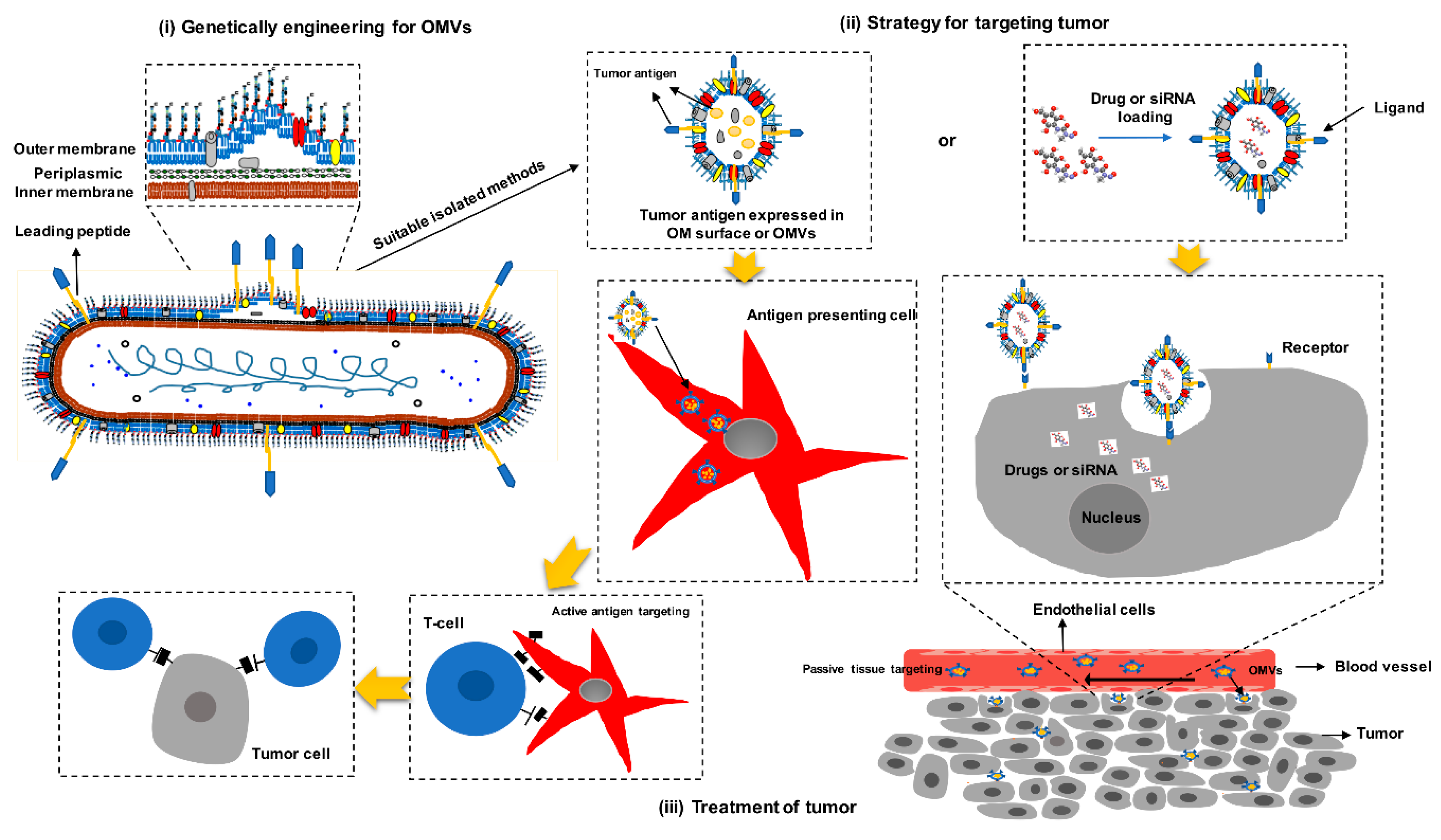 Cancers 11 01314 g002