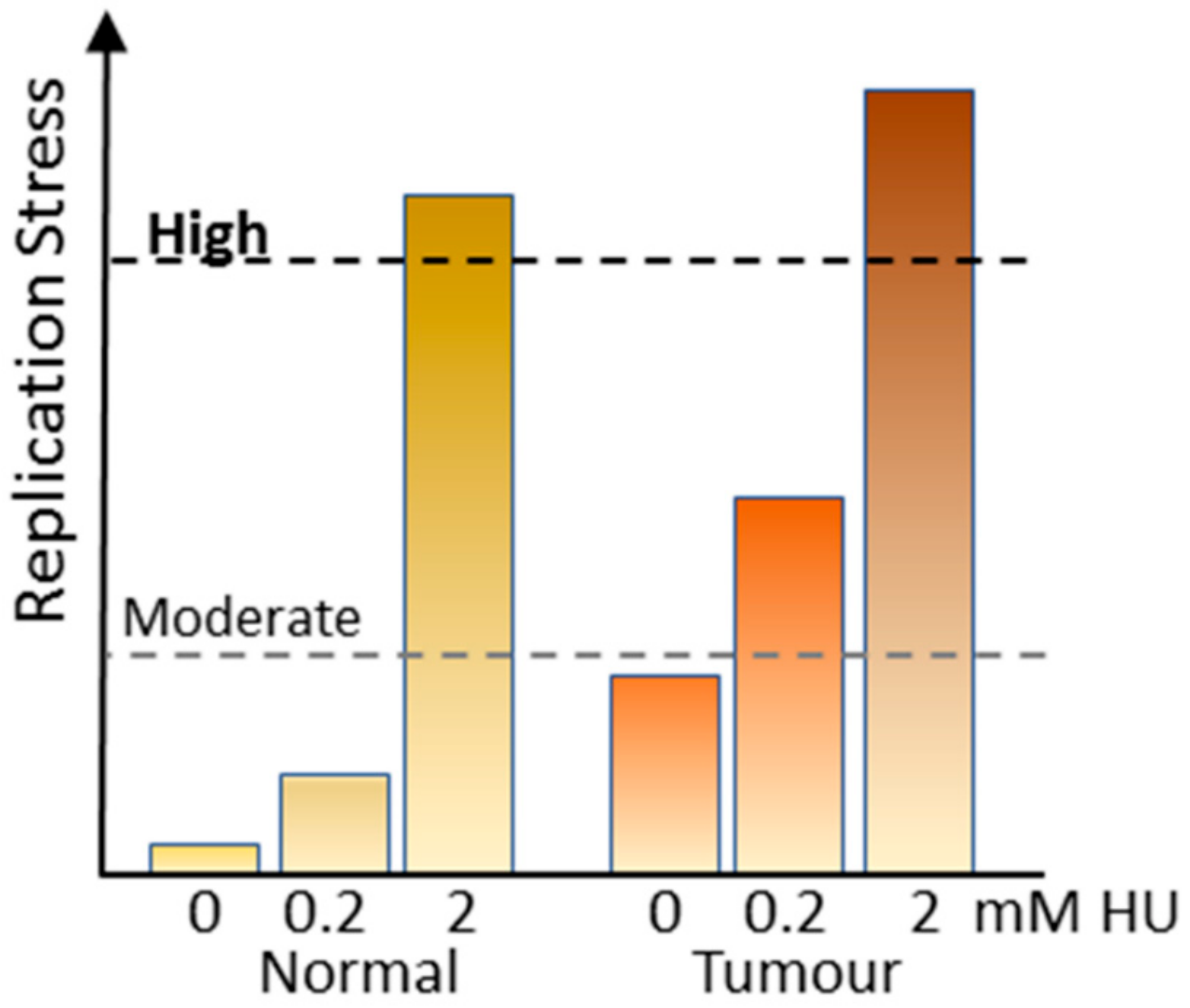 Cancers 11 01320 g003 Cancers 11 01320 g003