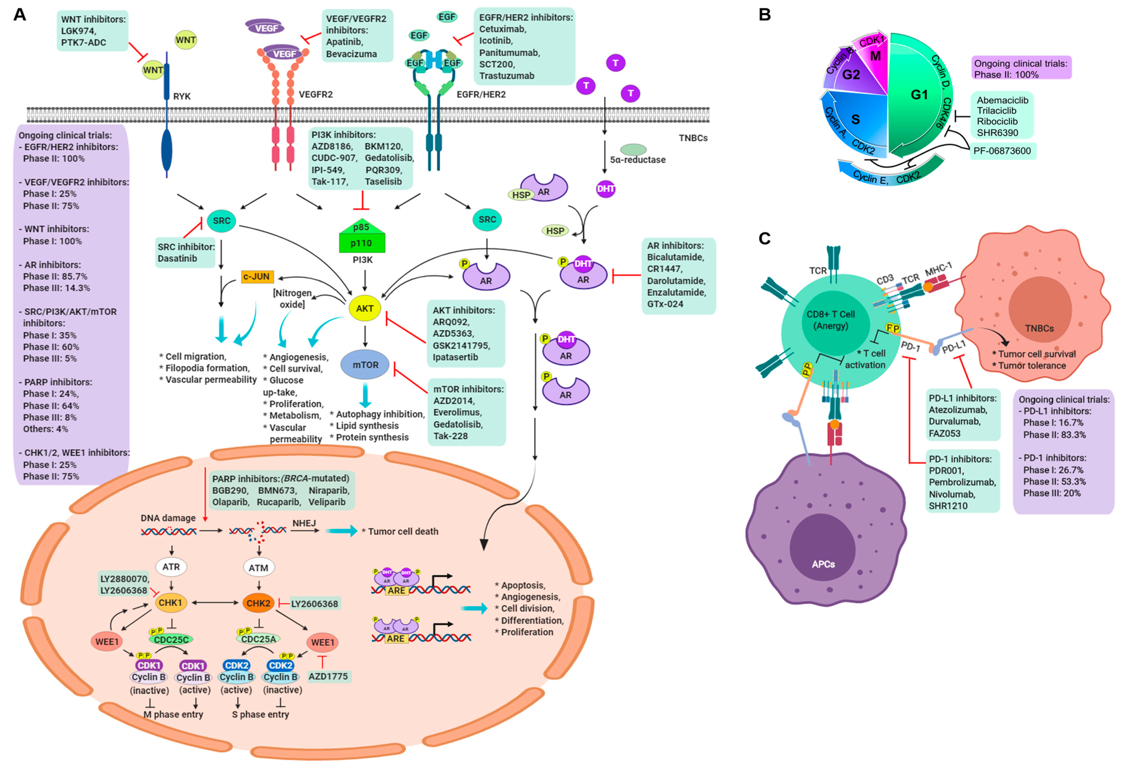 Cancers, Free Full-Text