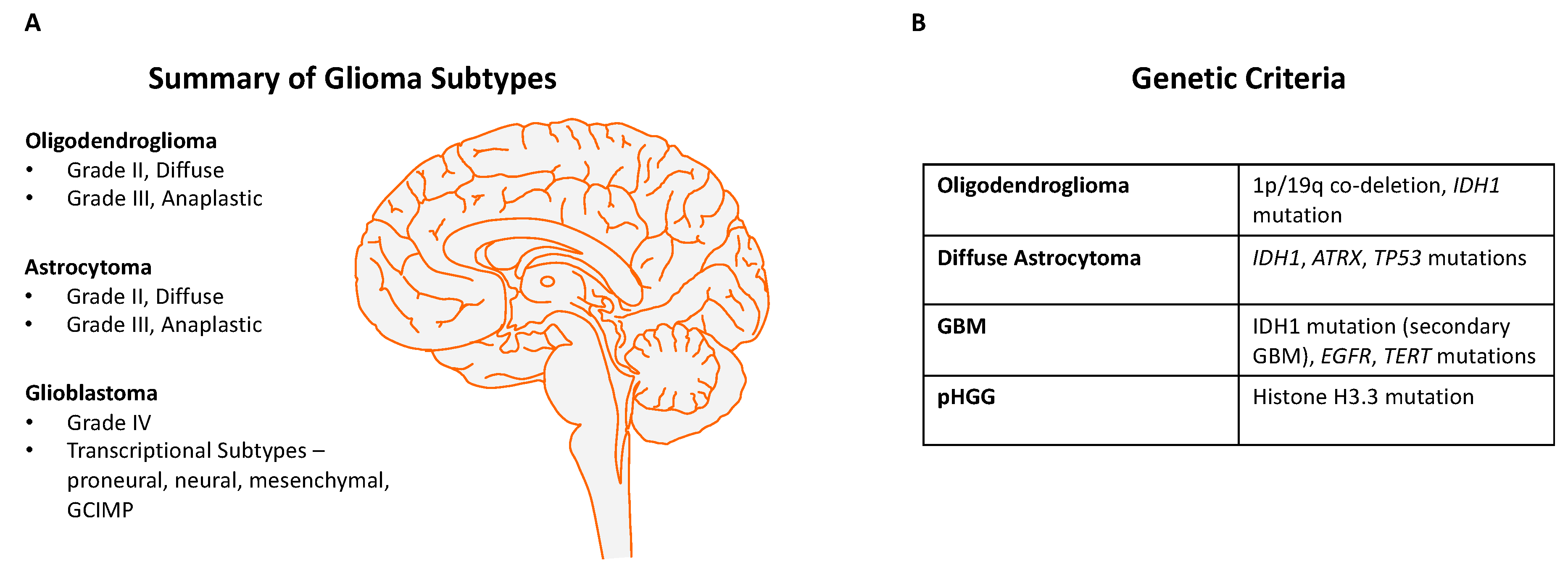 Cancers 11 01335 g001