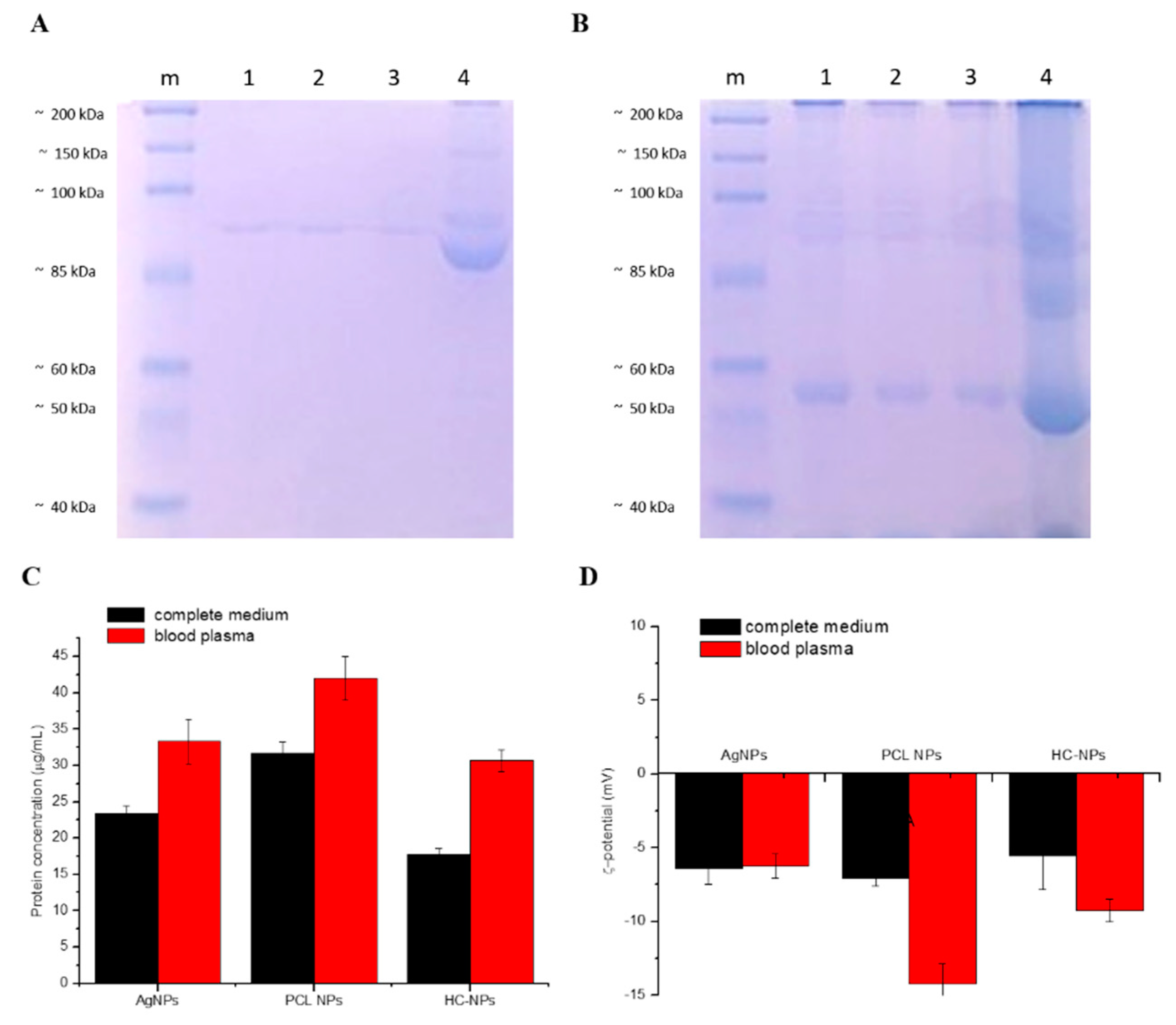 Cancers 11 01338 g002