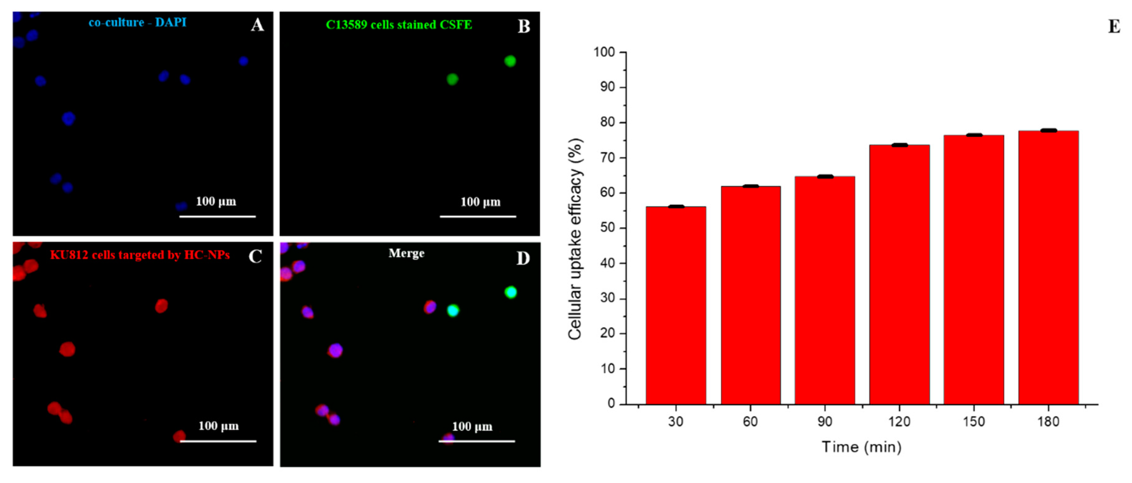 Cancers 11 01338 g004