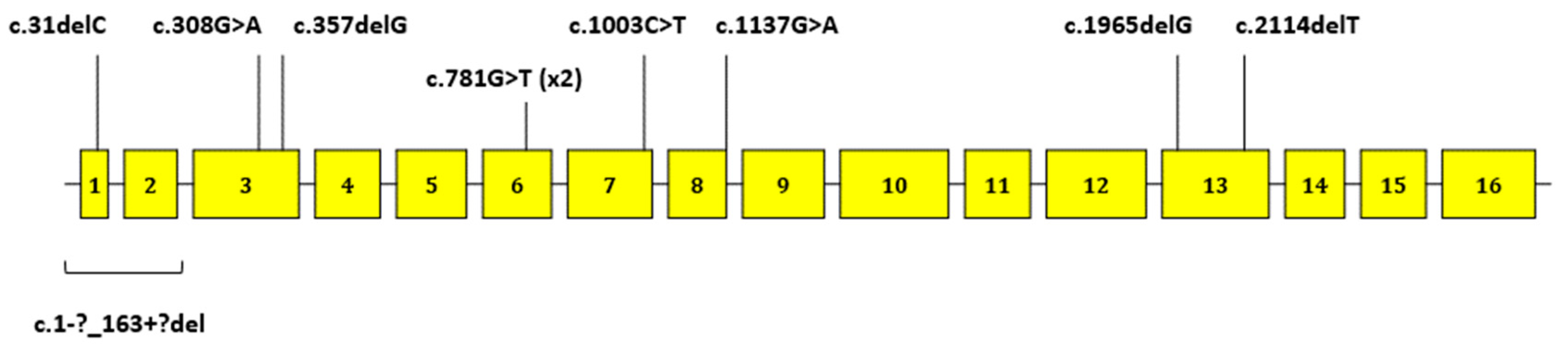Cancers 11 01340 g001