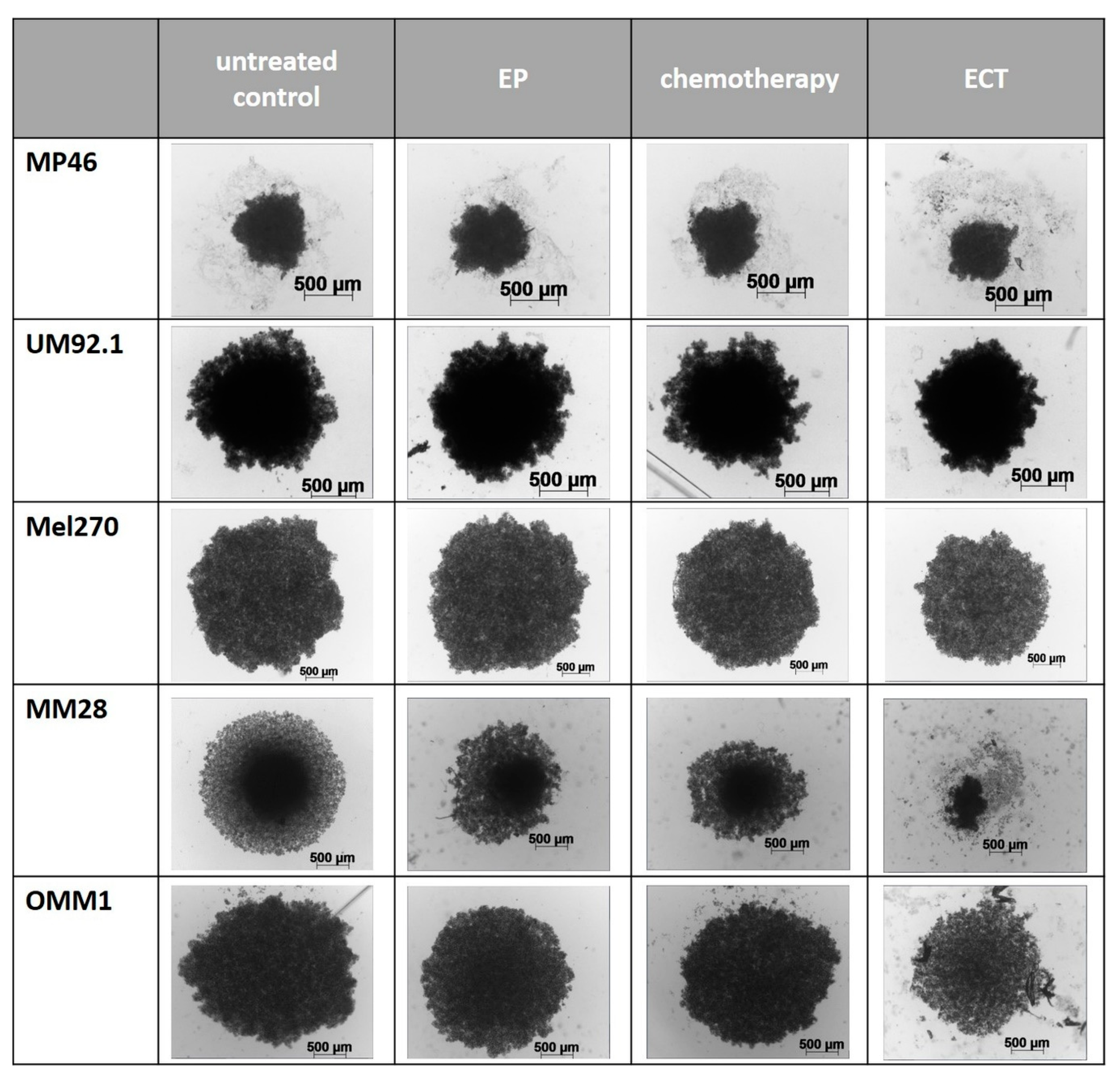 Cancers 11 01344 g002