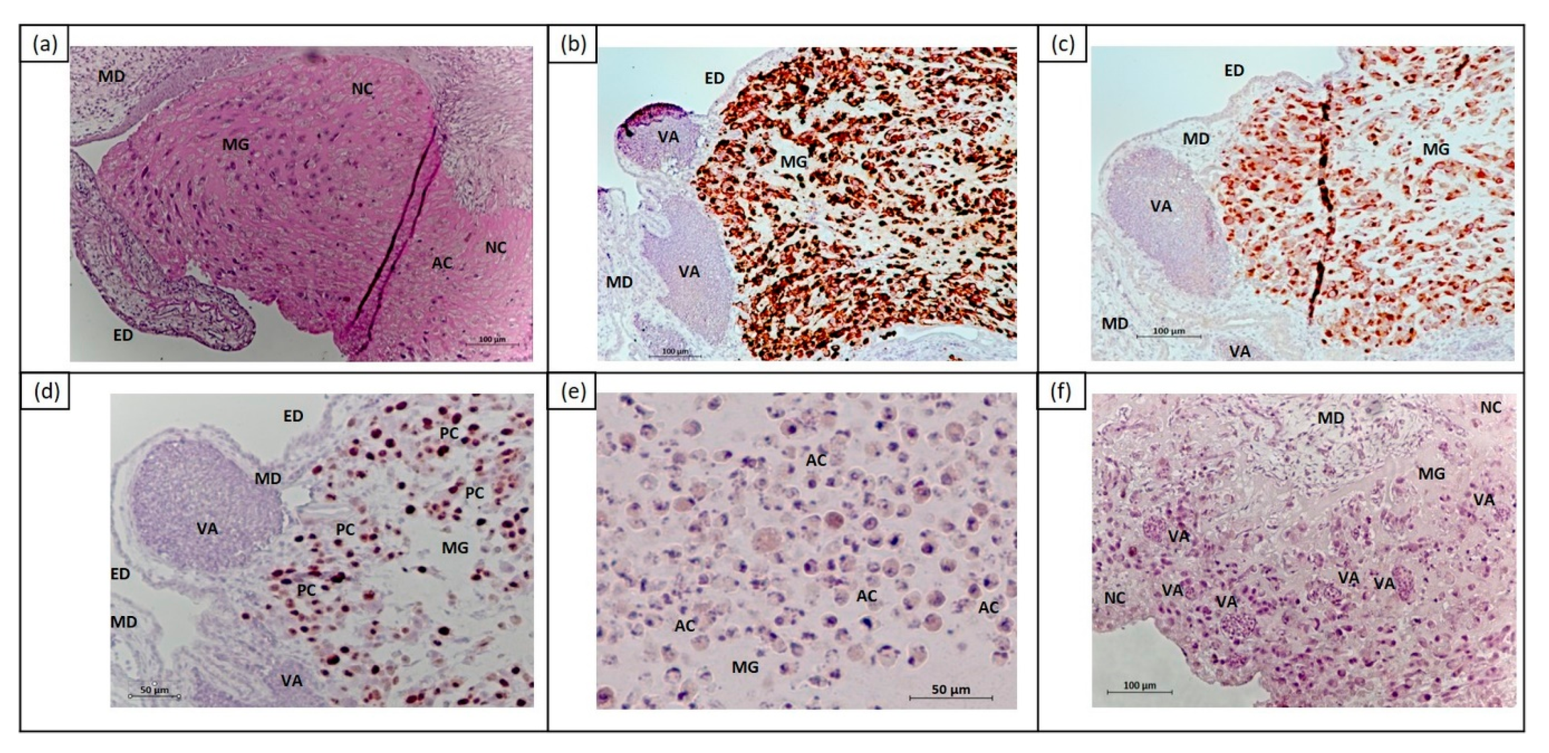 Cancers 11 01344 g003