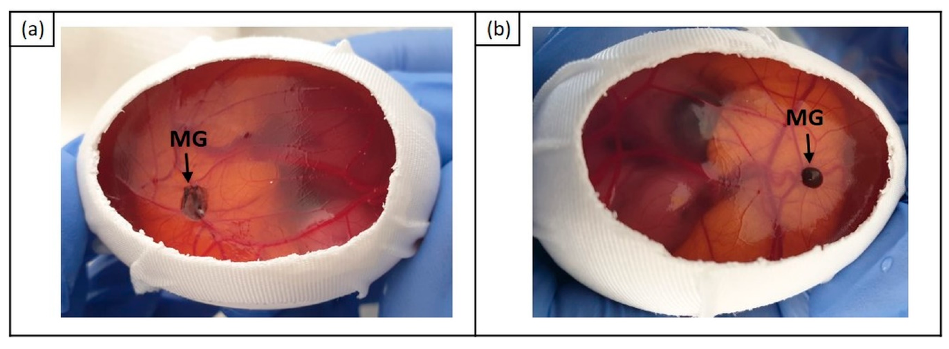 Cancers 11 01344 g004