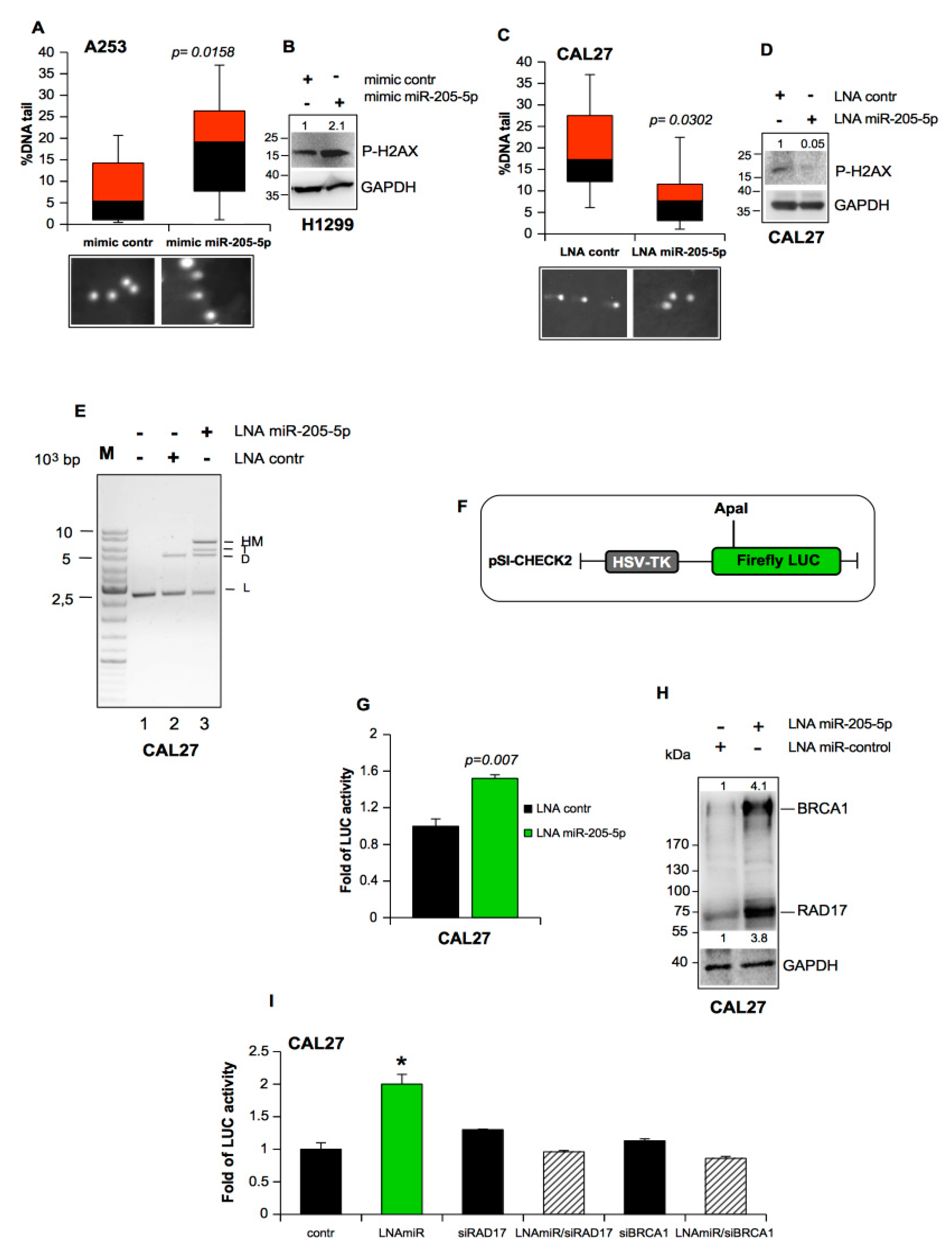Cancers 11 01347 g003