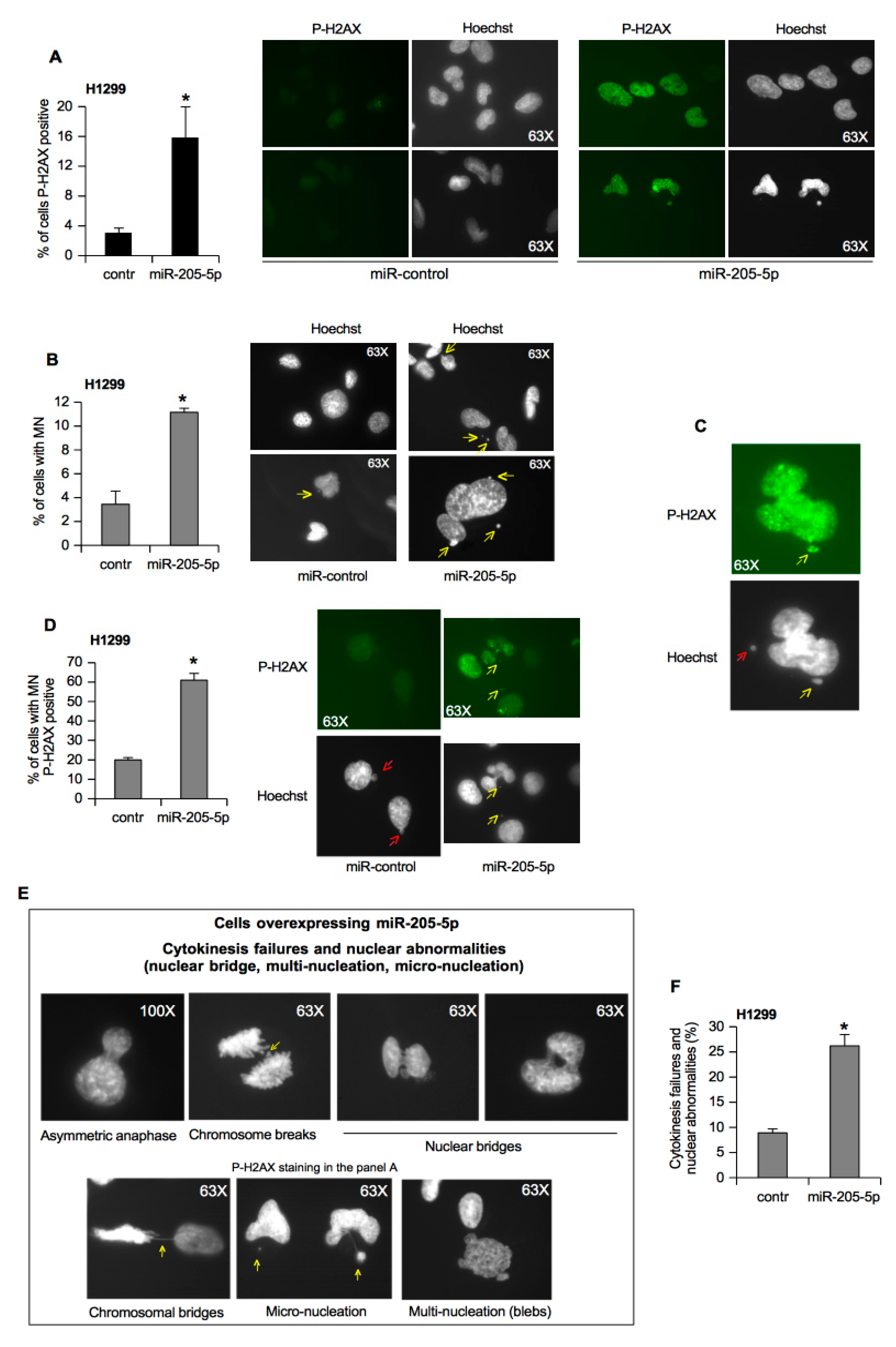Cancers 11 01347 g004