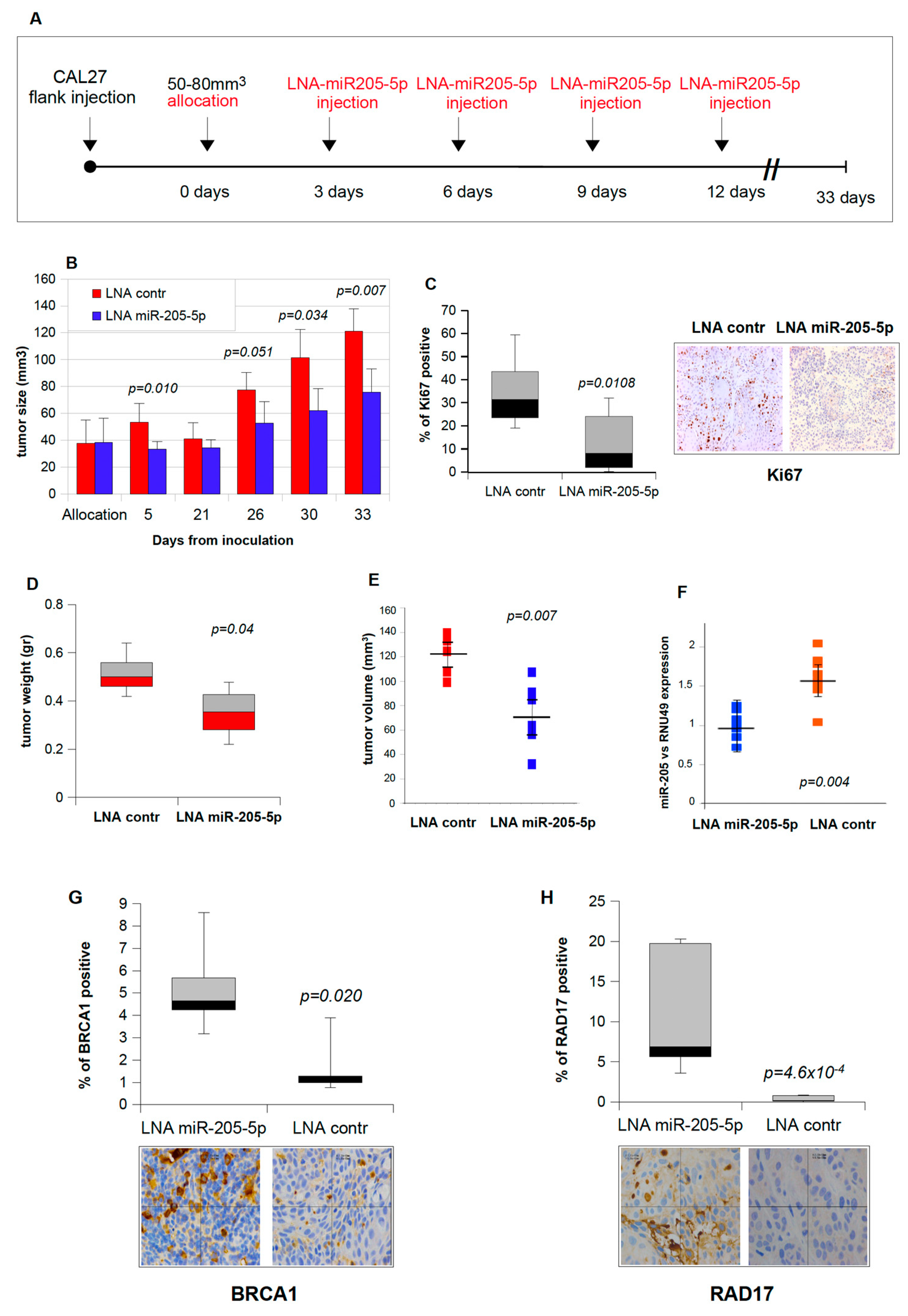 Cancers 11 01347 g005