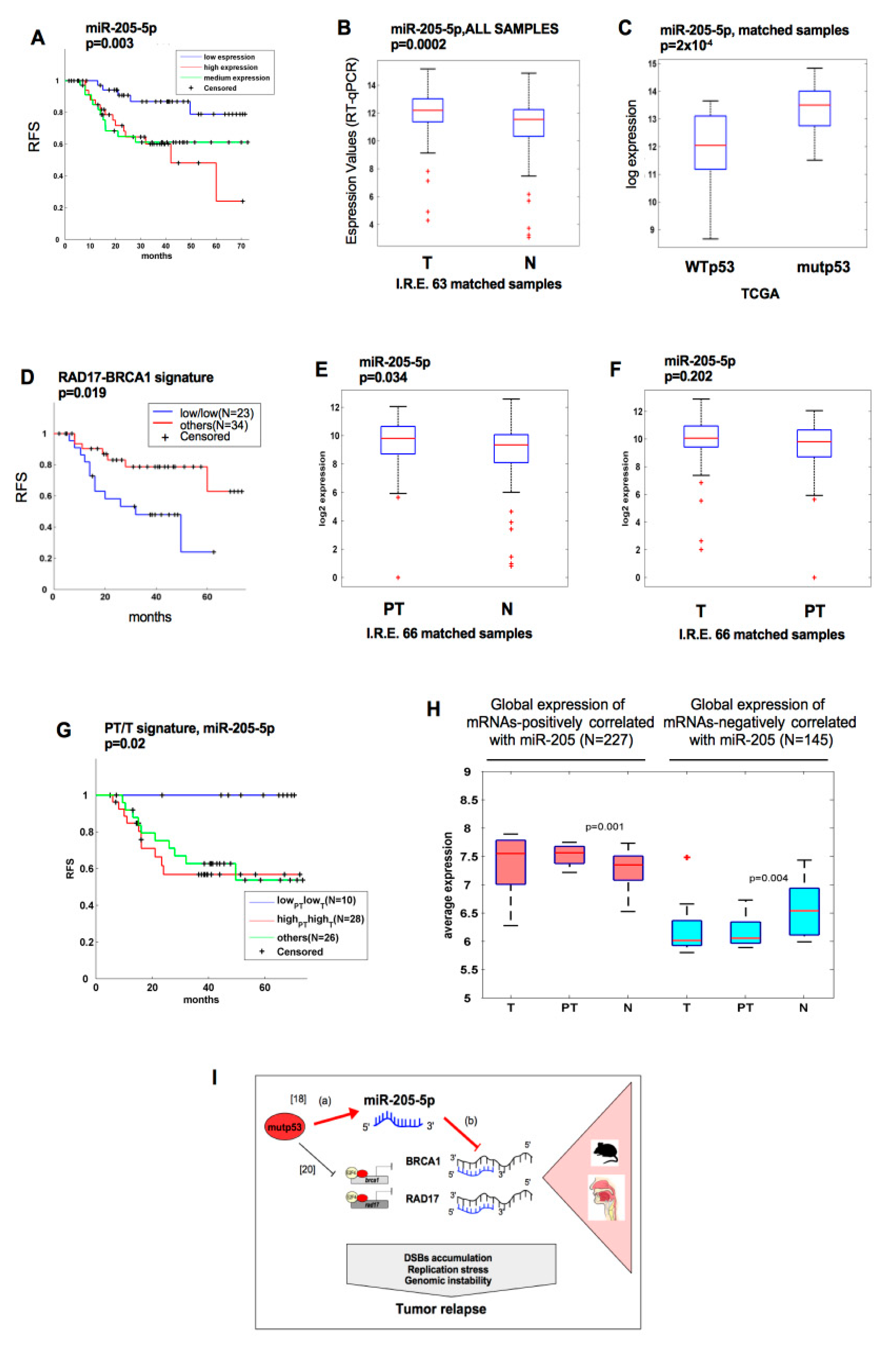 Cancers 11 01347 g006
