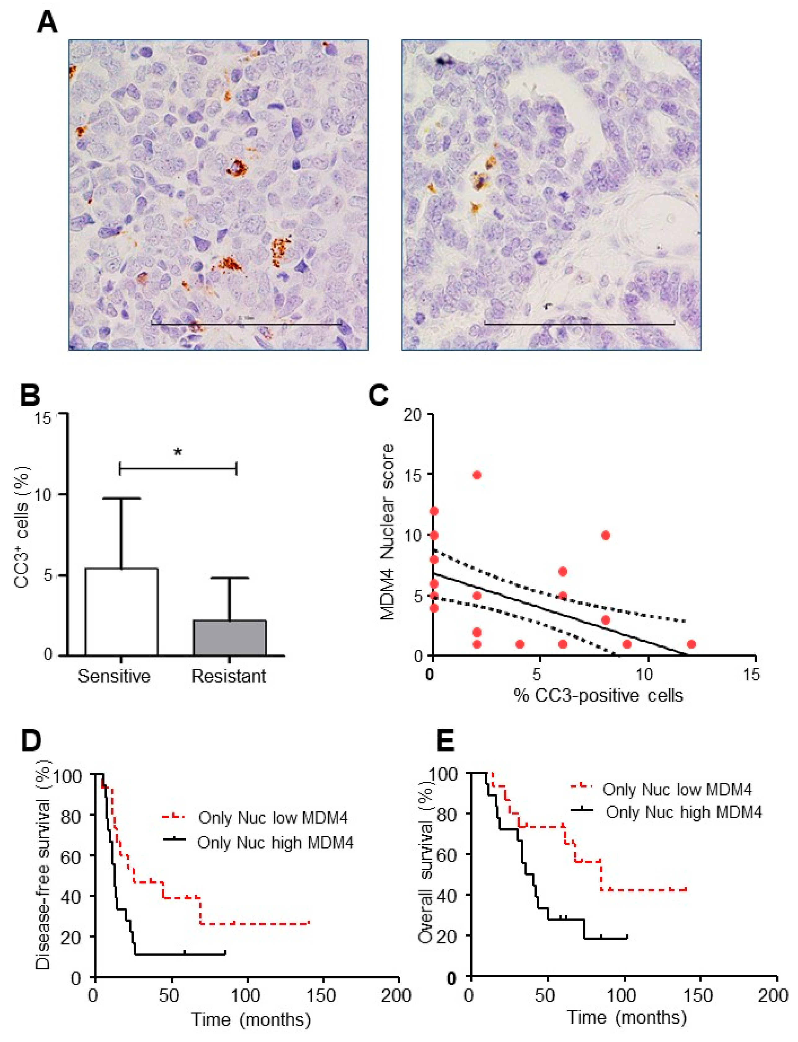 Cancers 11 01349 g006 Cancers 11 01349 g006