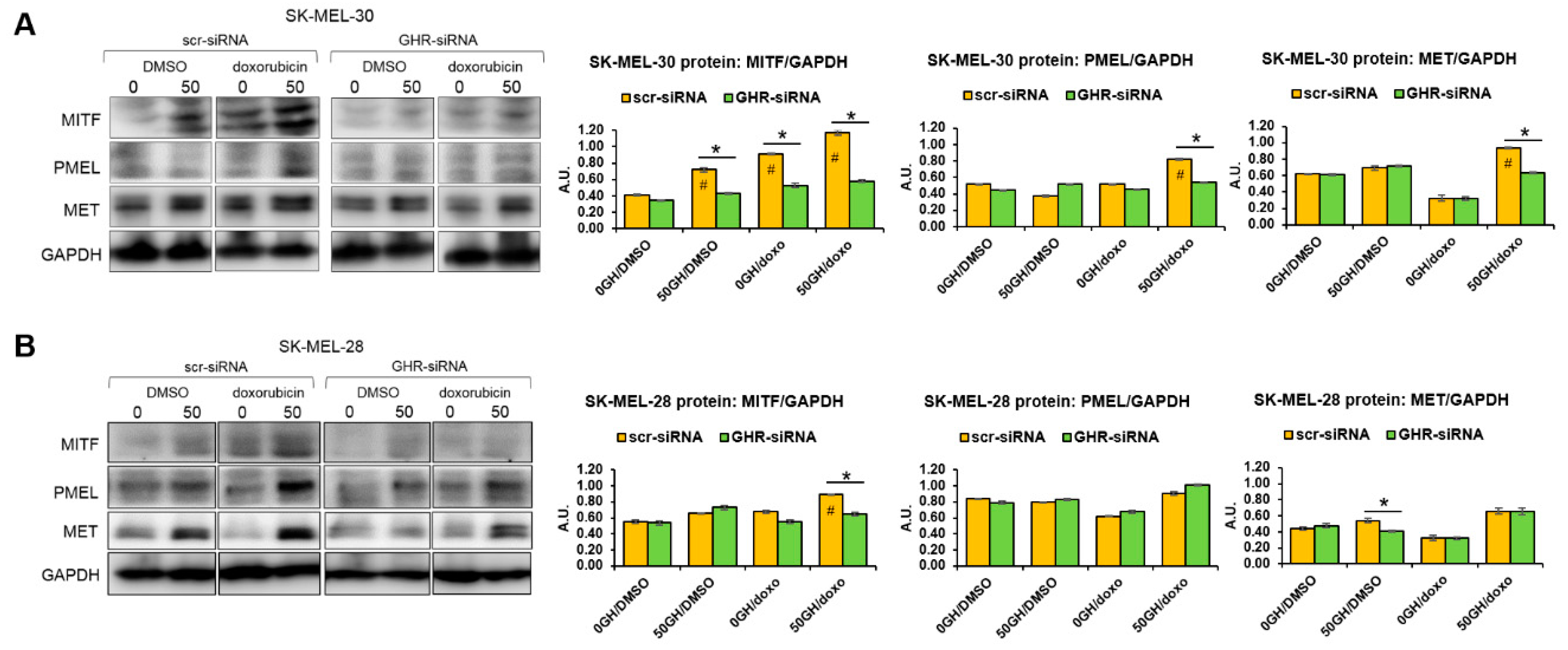 Cancers 11 01352 g003