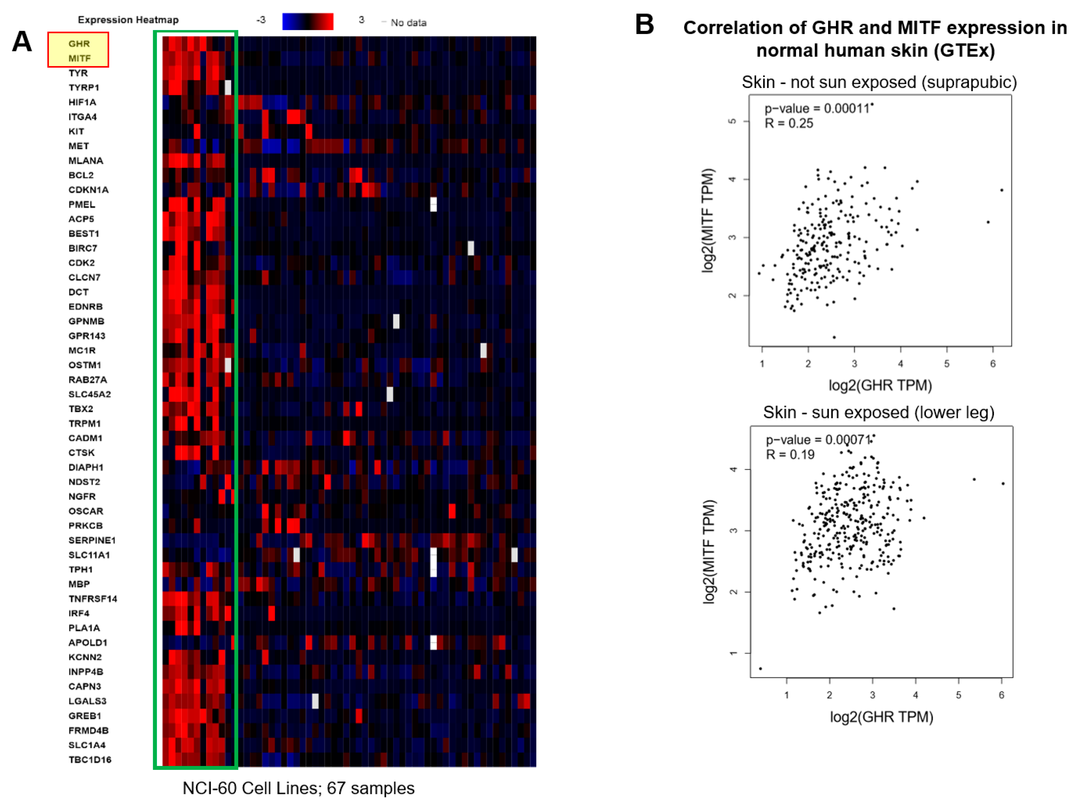 Cancers 11 01352 g007