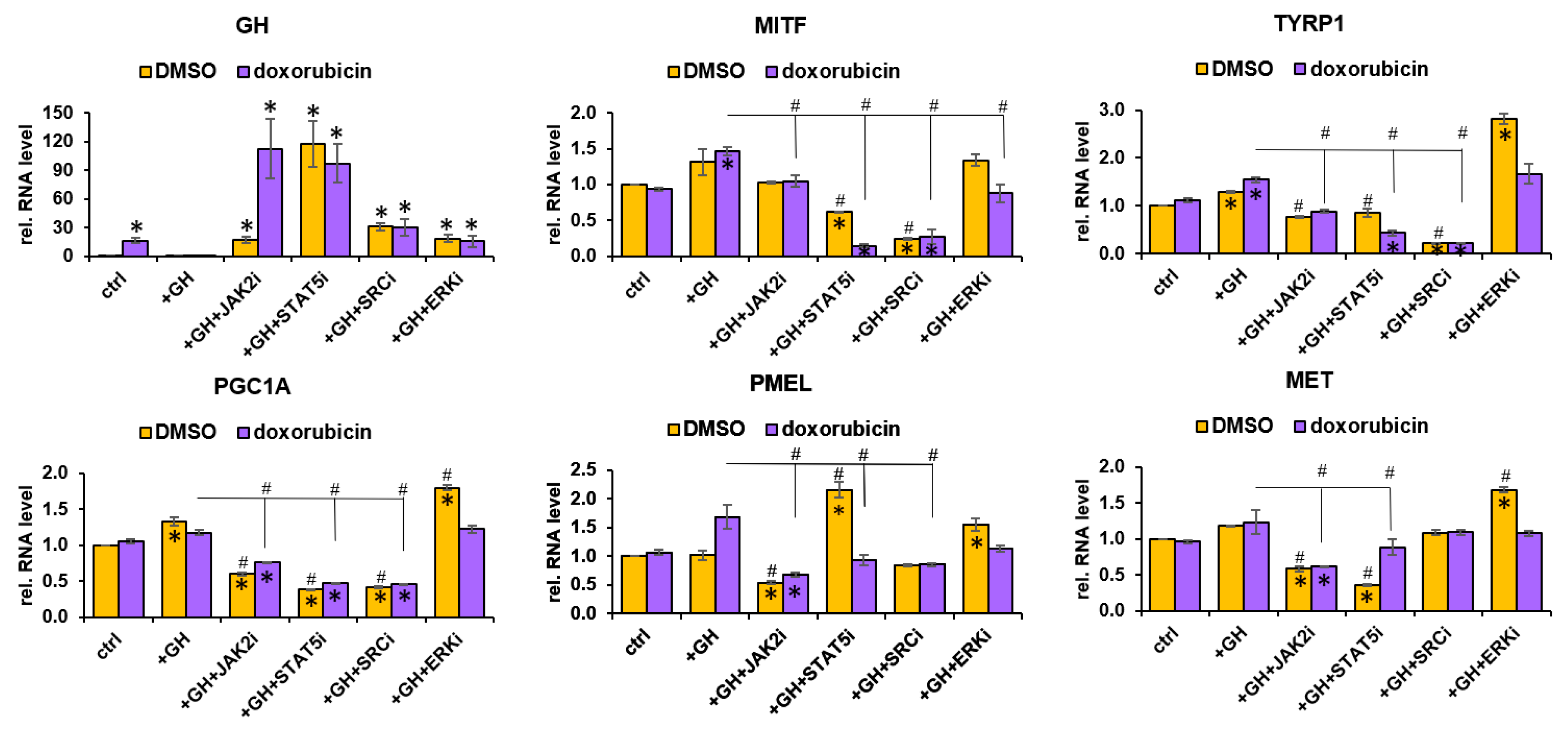 Cancers 11 01352 g008