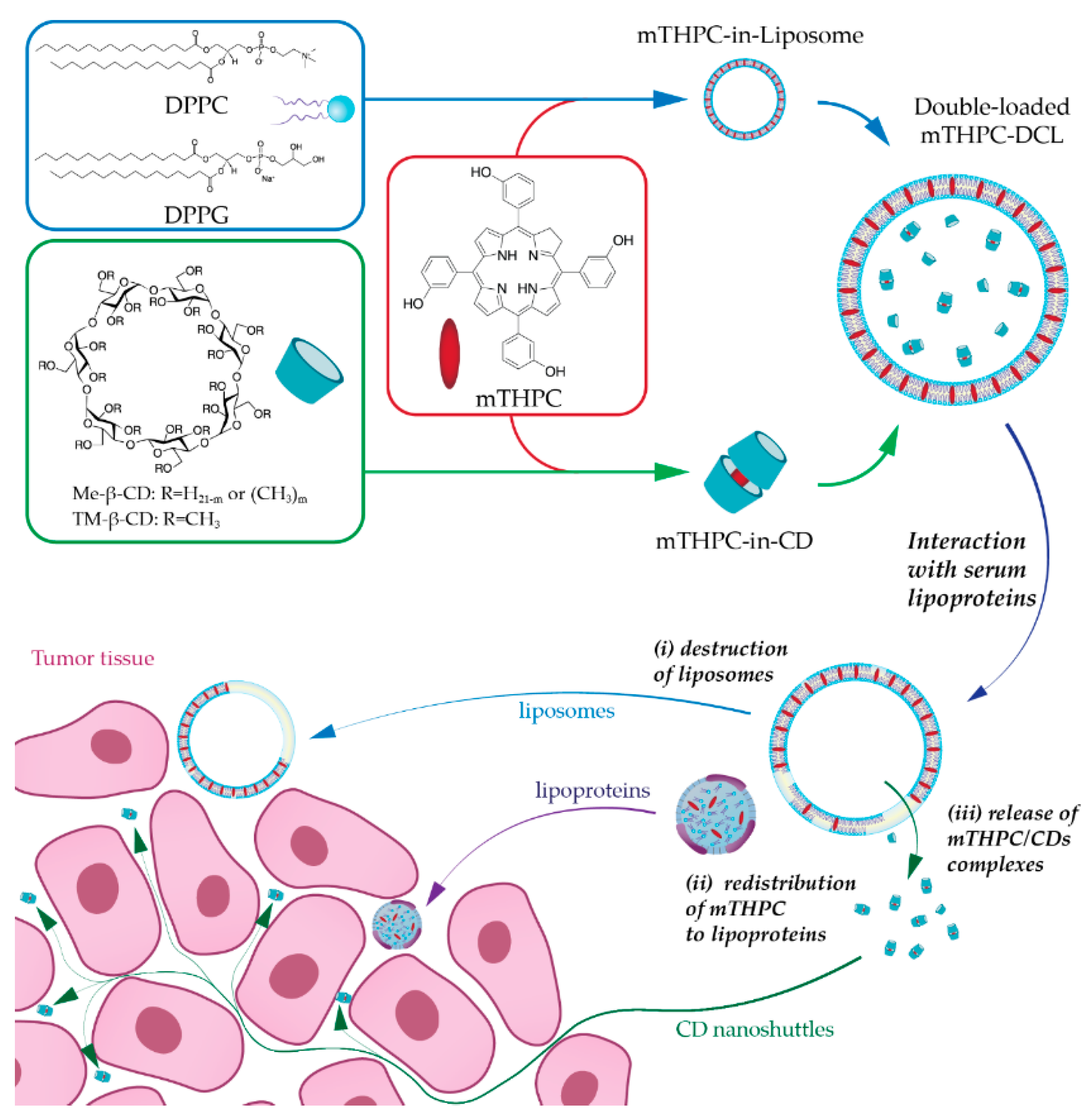 Cancers 11 01366 g001