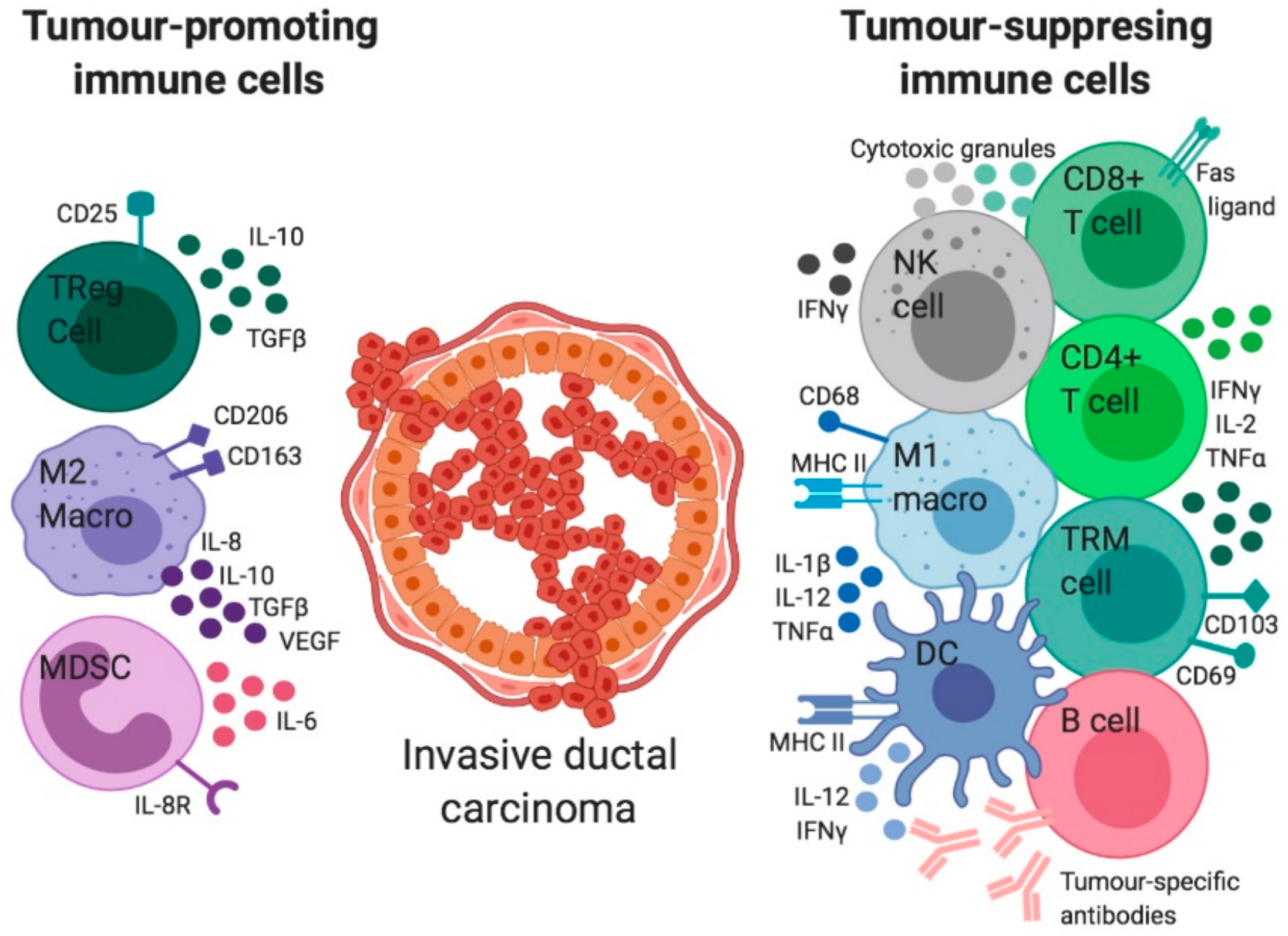 Cancers 11 01375 g003 Cancers 11 01375 g003