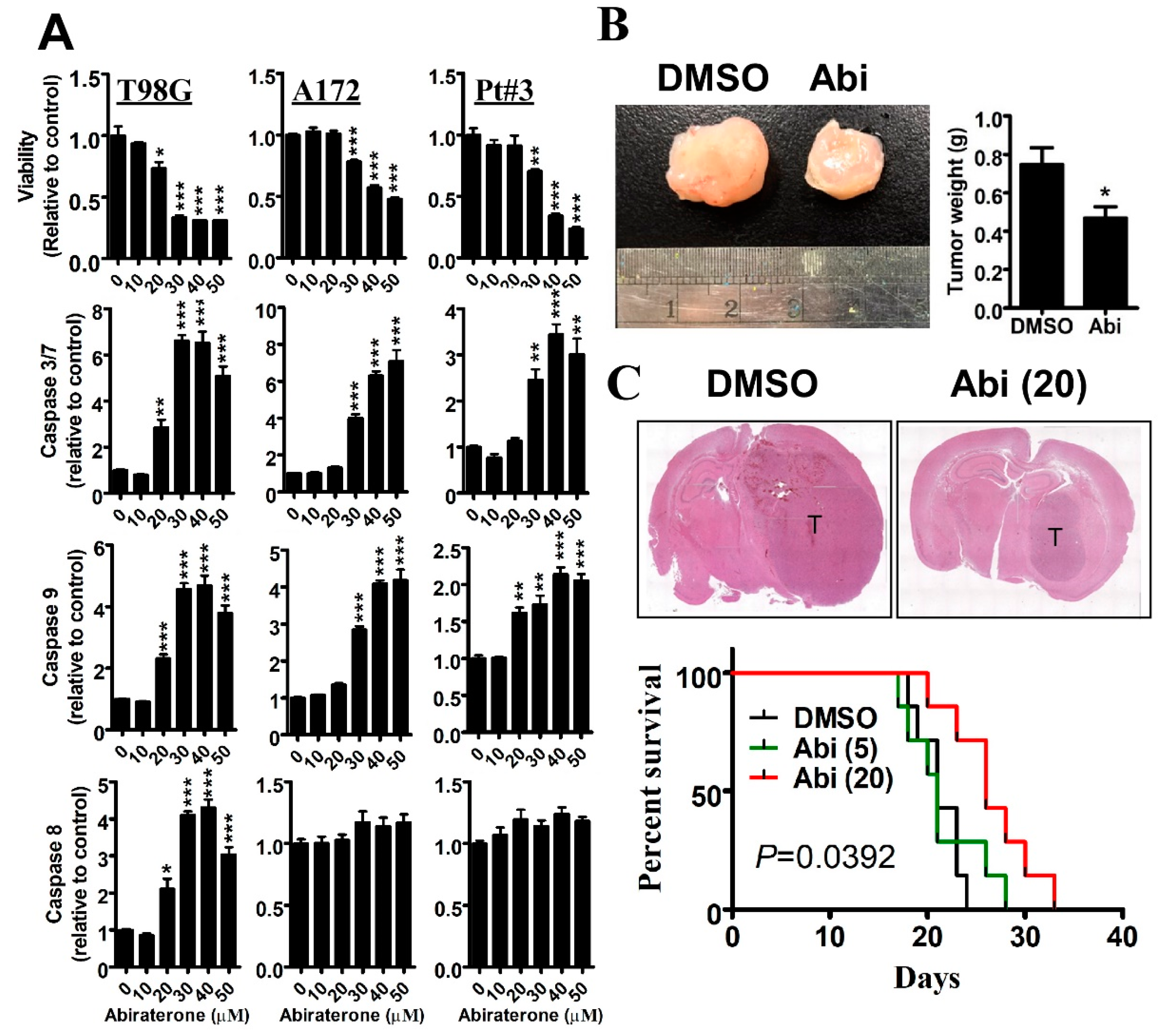 Cancers 11 01378 g001