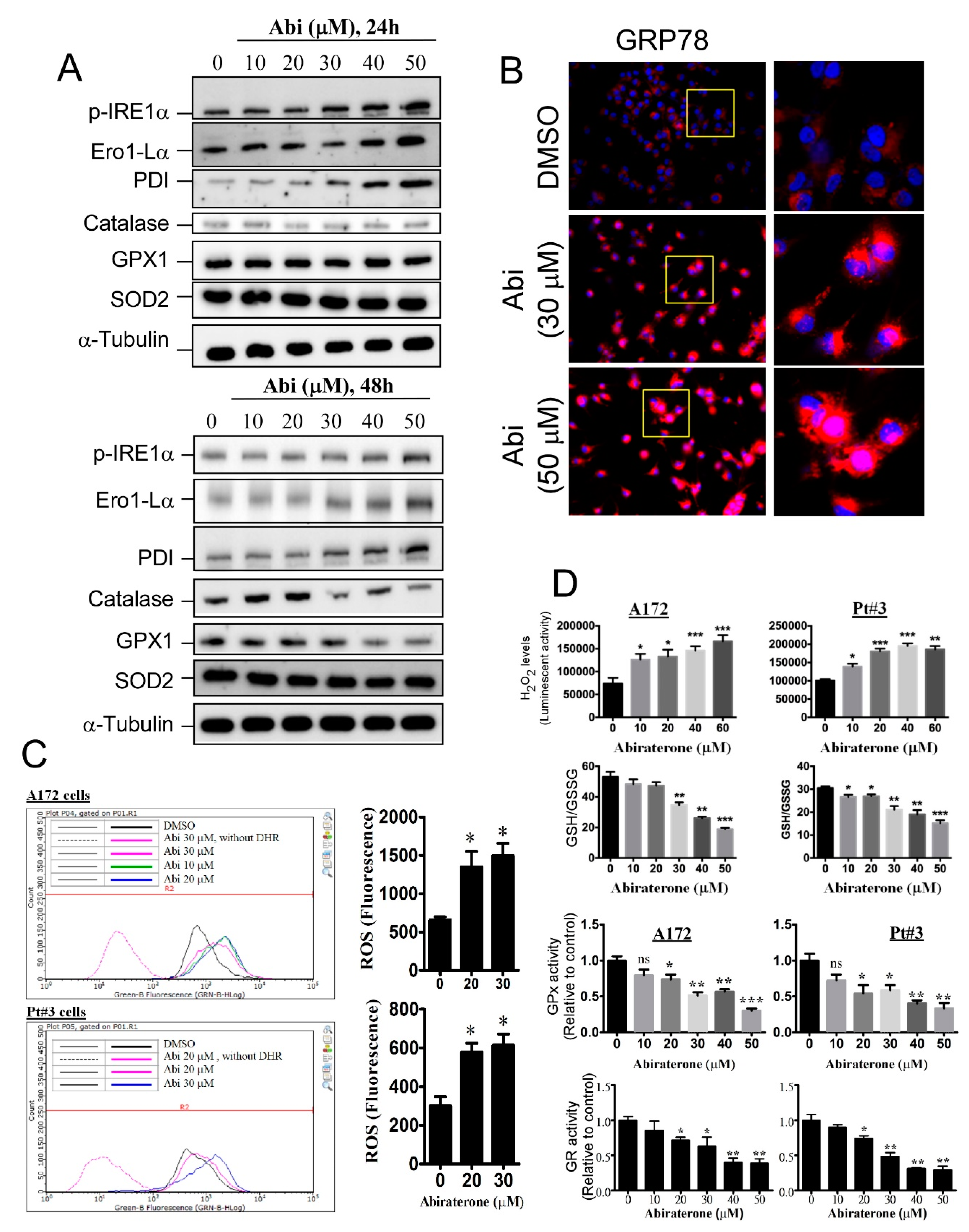 Cancers 11 01378 g002