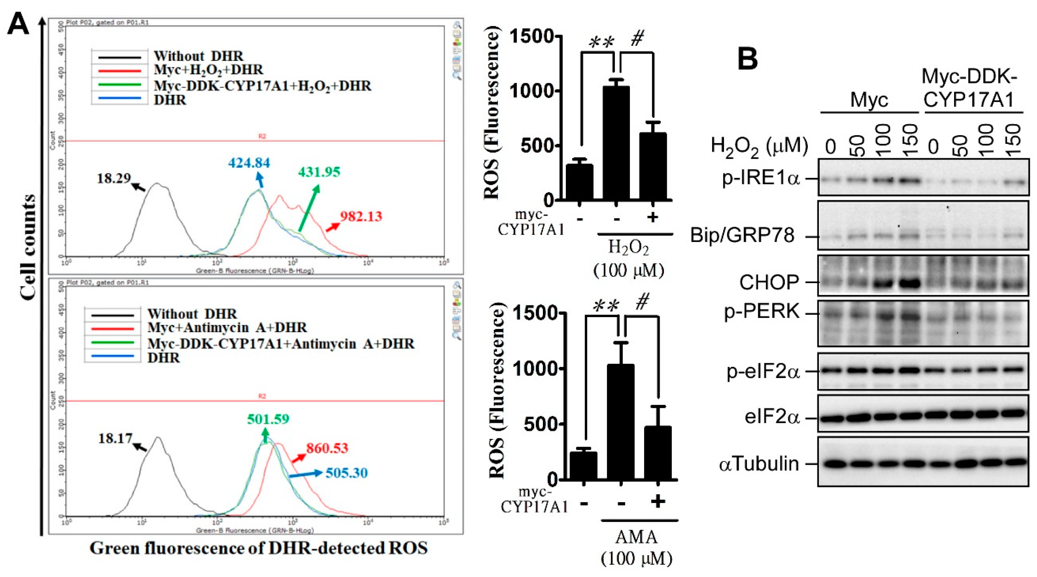 Cancers 11 01378 g003a