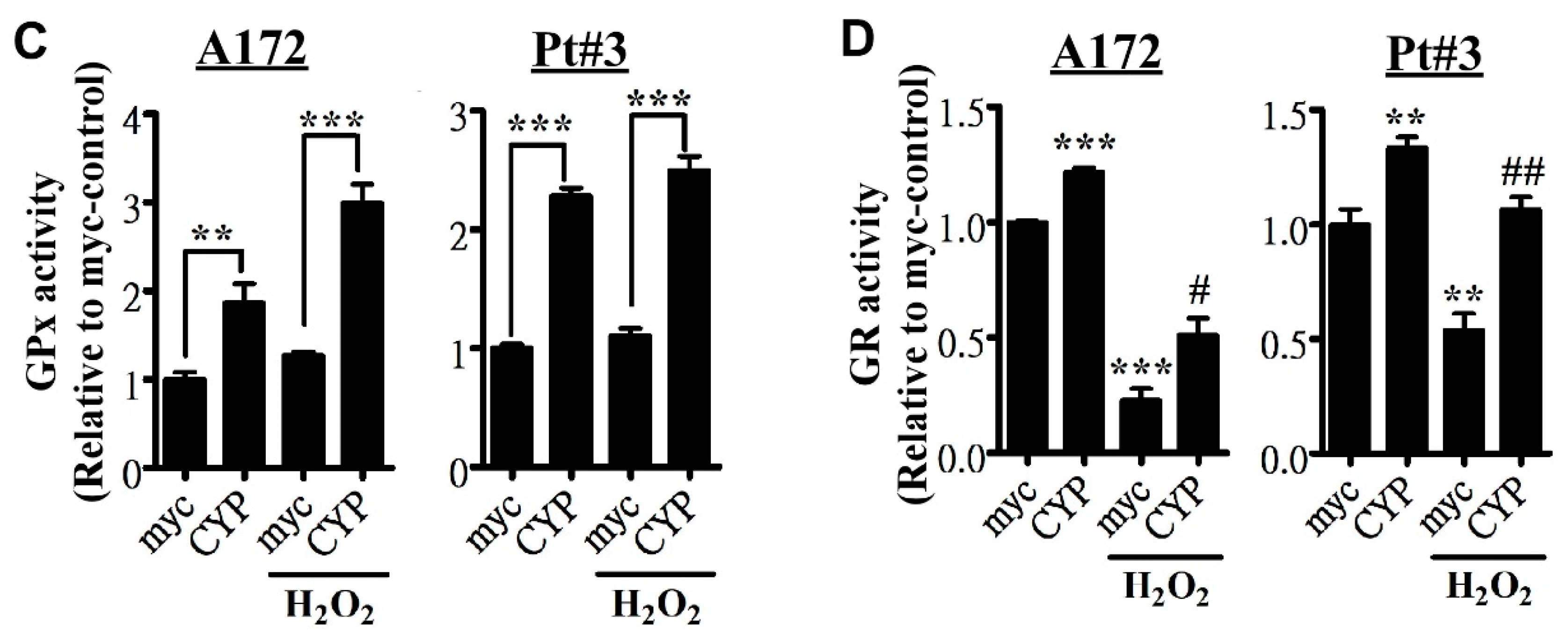Cancers 11 01378 g003b