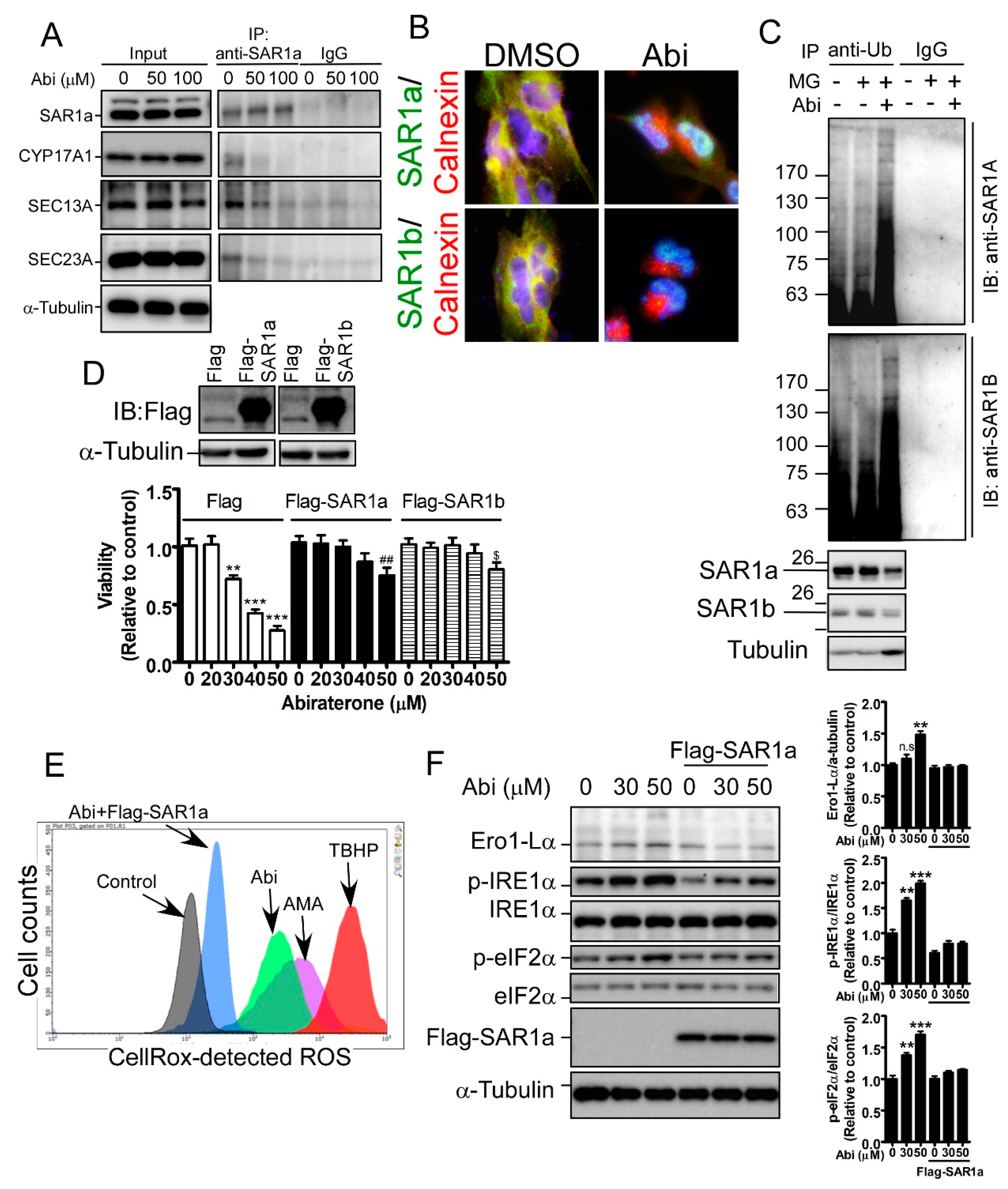 Cancers 11 01378 g005