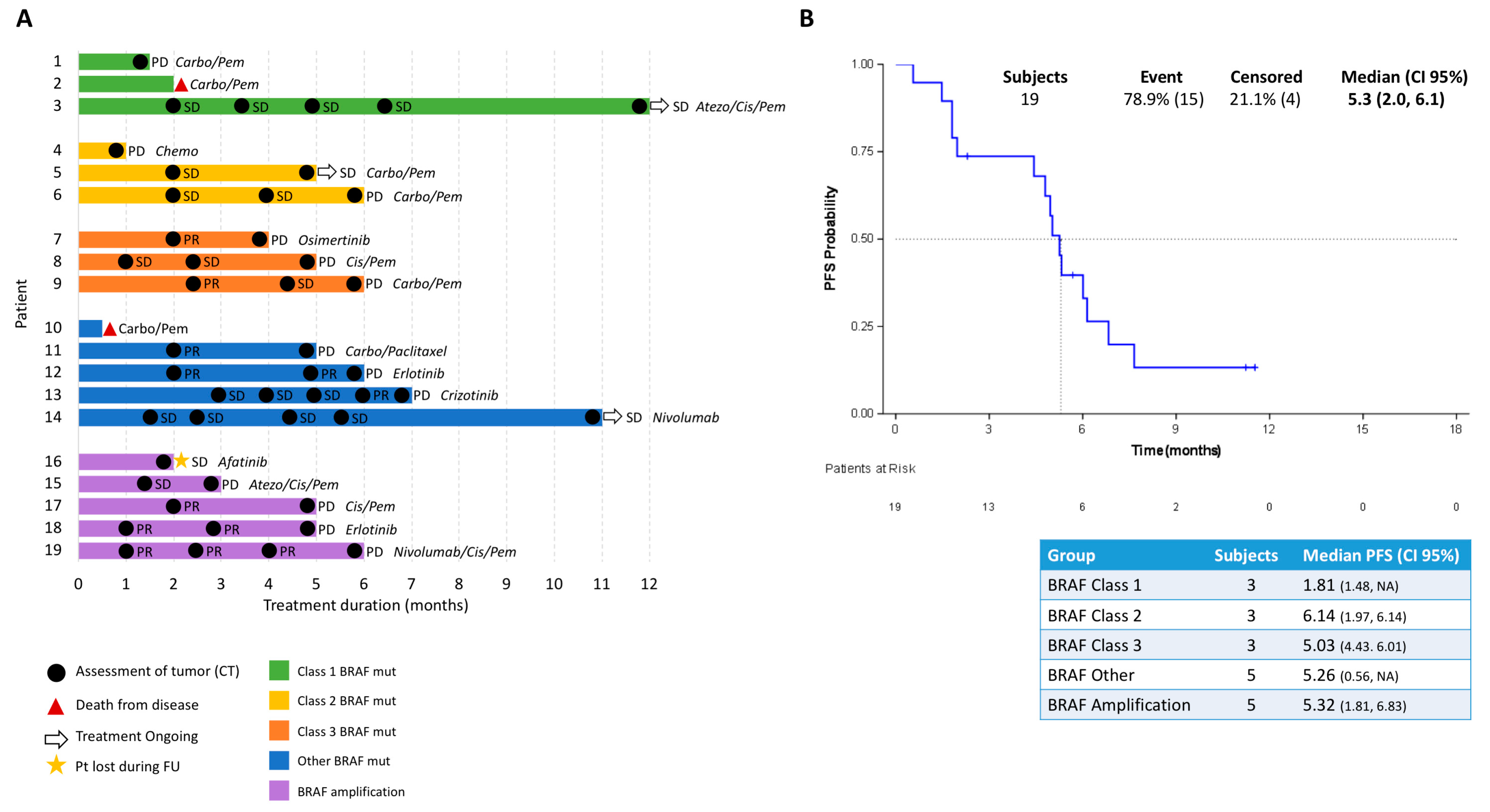 Cancers Free FullText BRAF Mutations Classes I, II, and III in