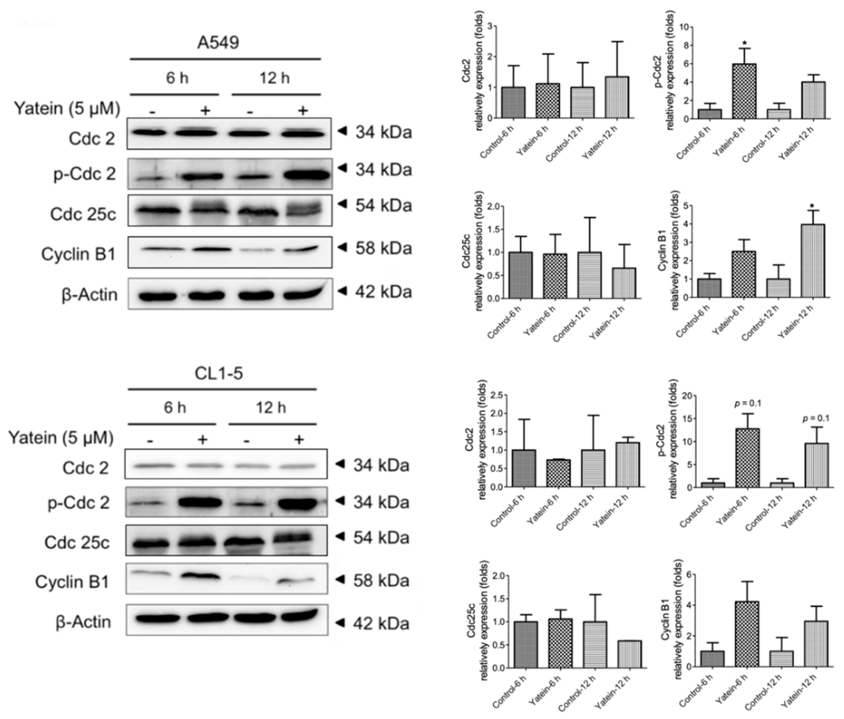 Cancers 11 01384 g003 Cancers 11 01384 g003