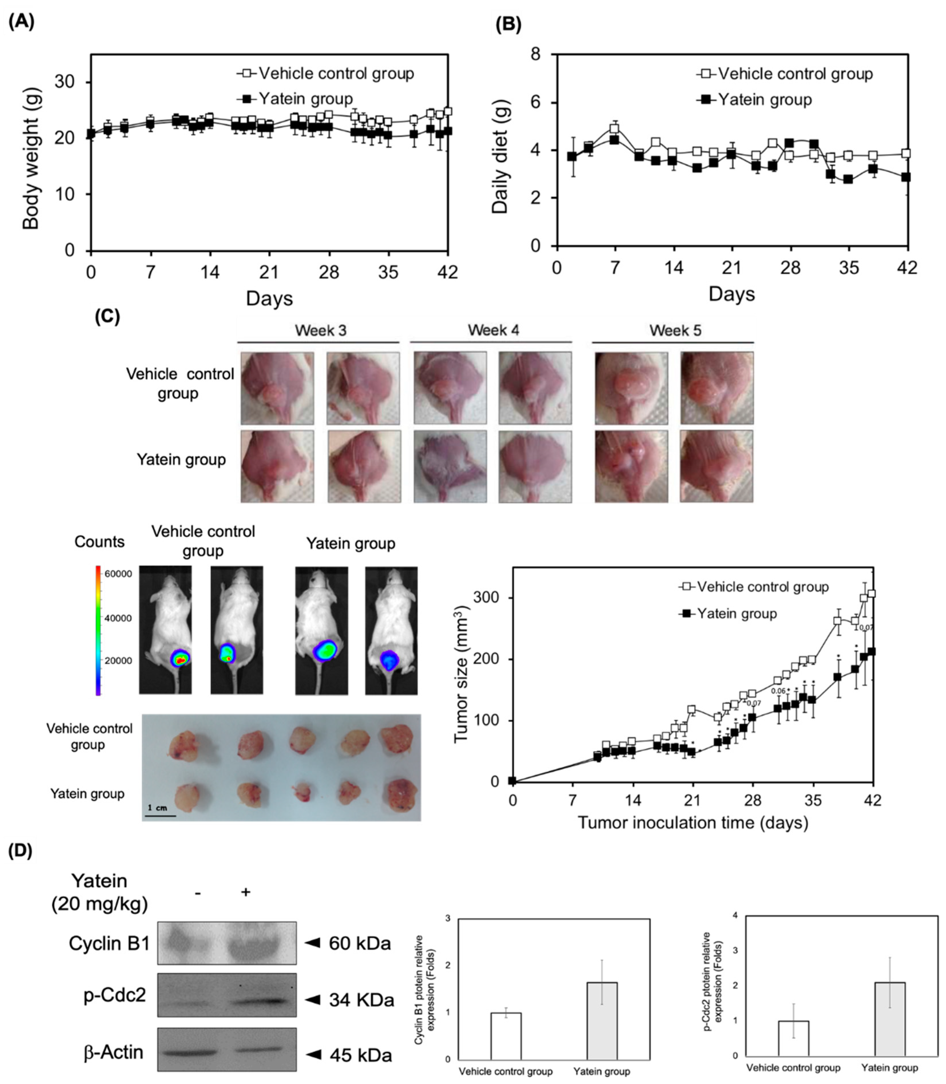 Cancers 11 01384 g006 Cancers 11 01384 g006