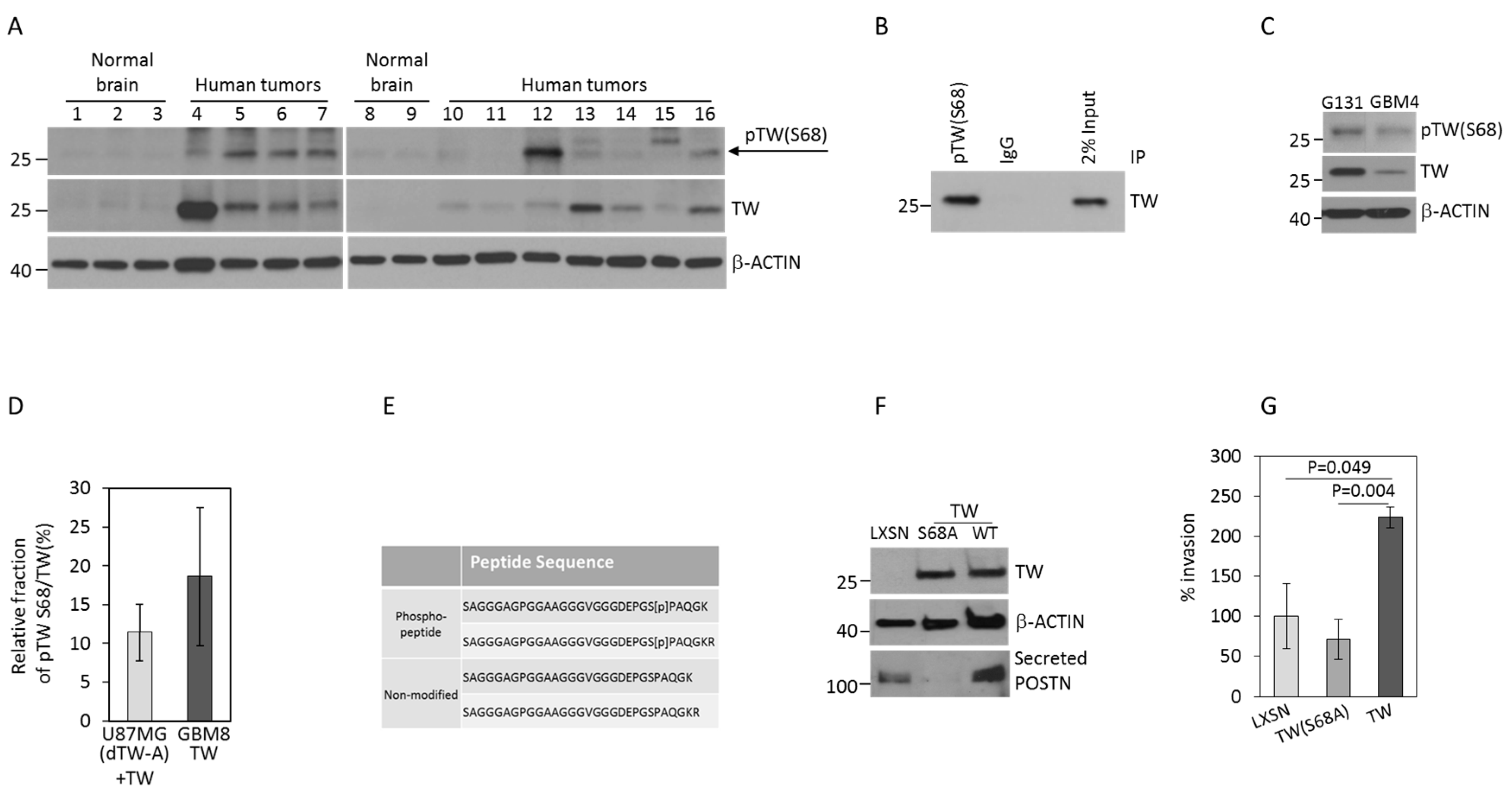 Cancers 11 01392 g001