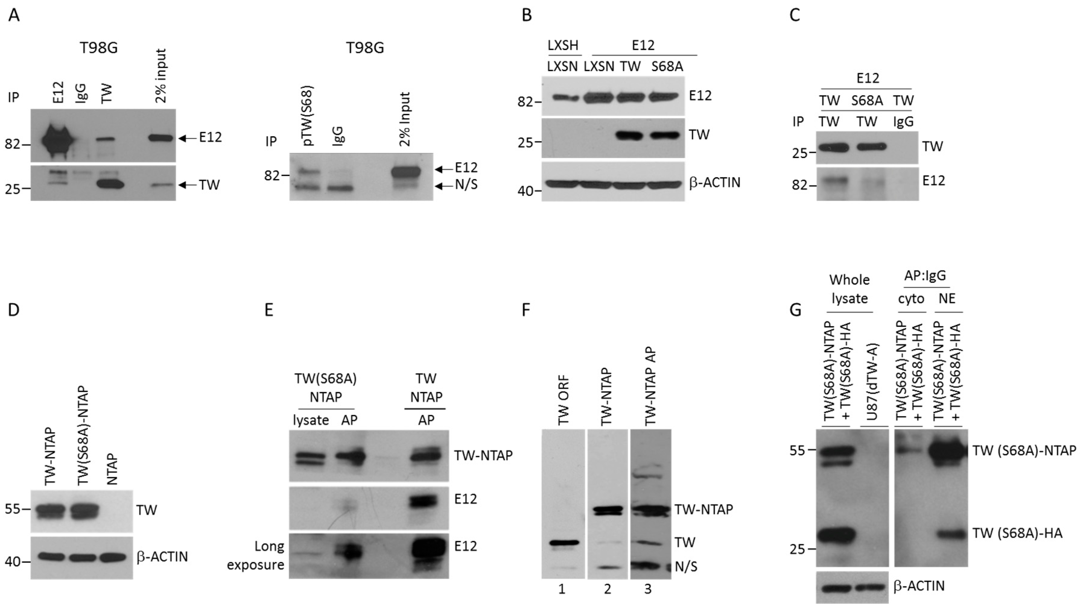 Cancers 11 01392 g002