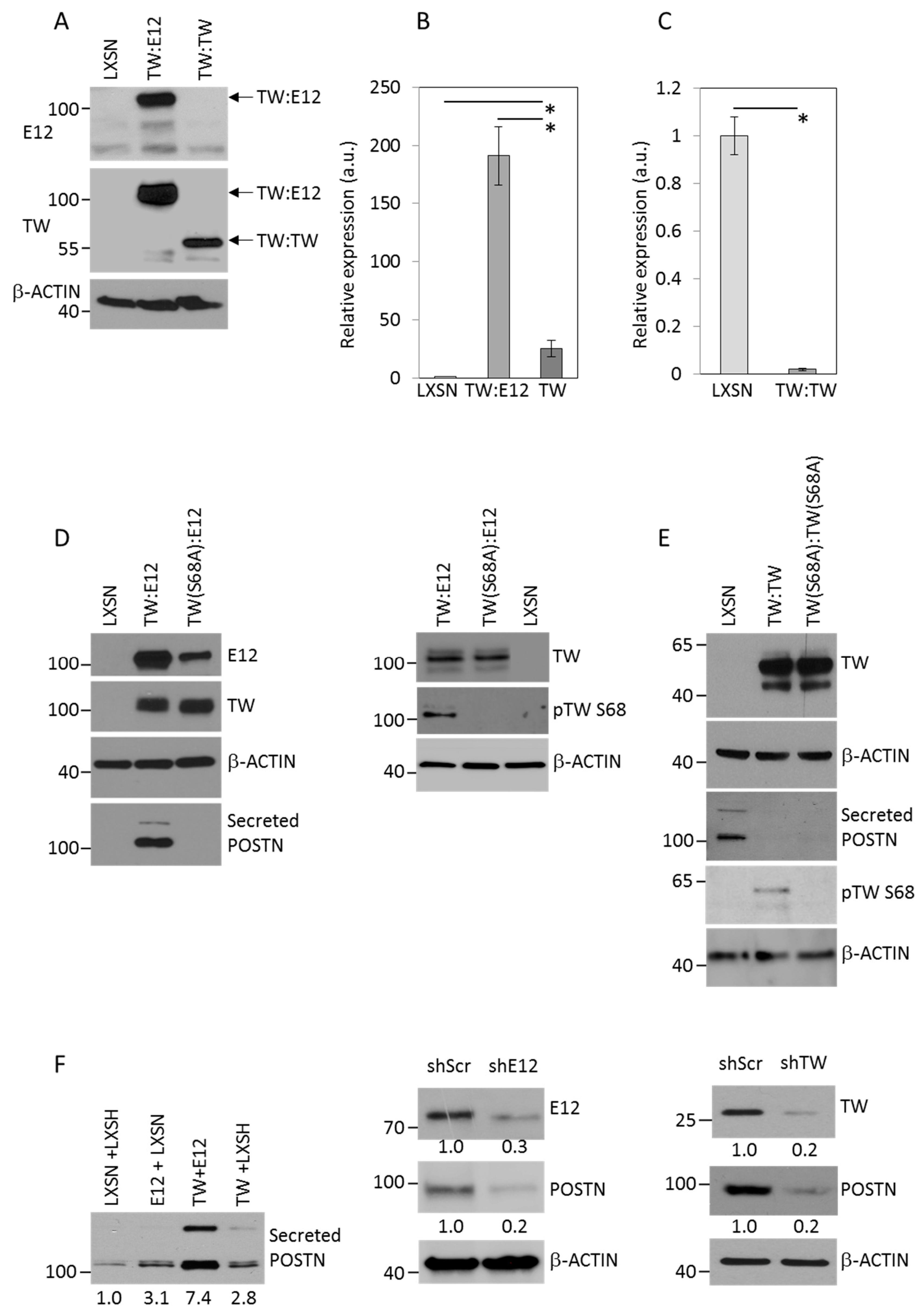 Cancers 11 01392 g003
