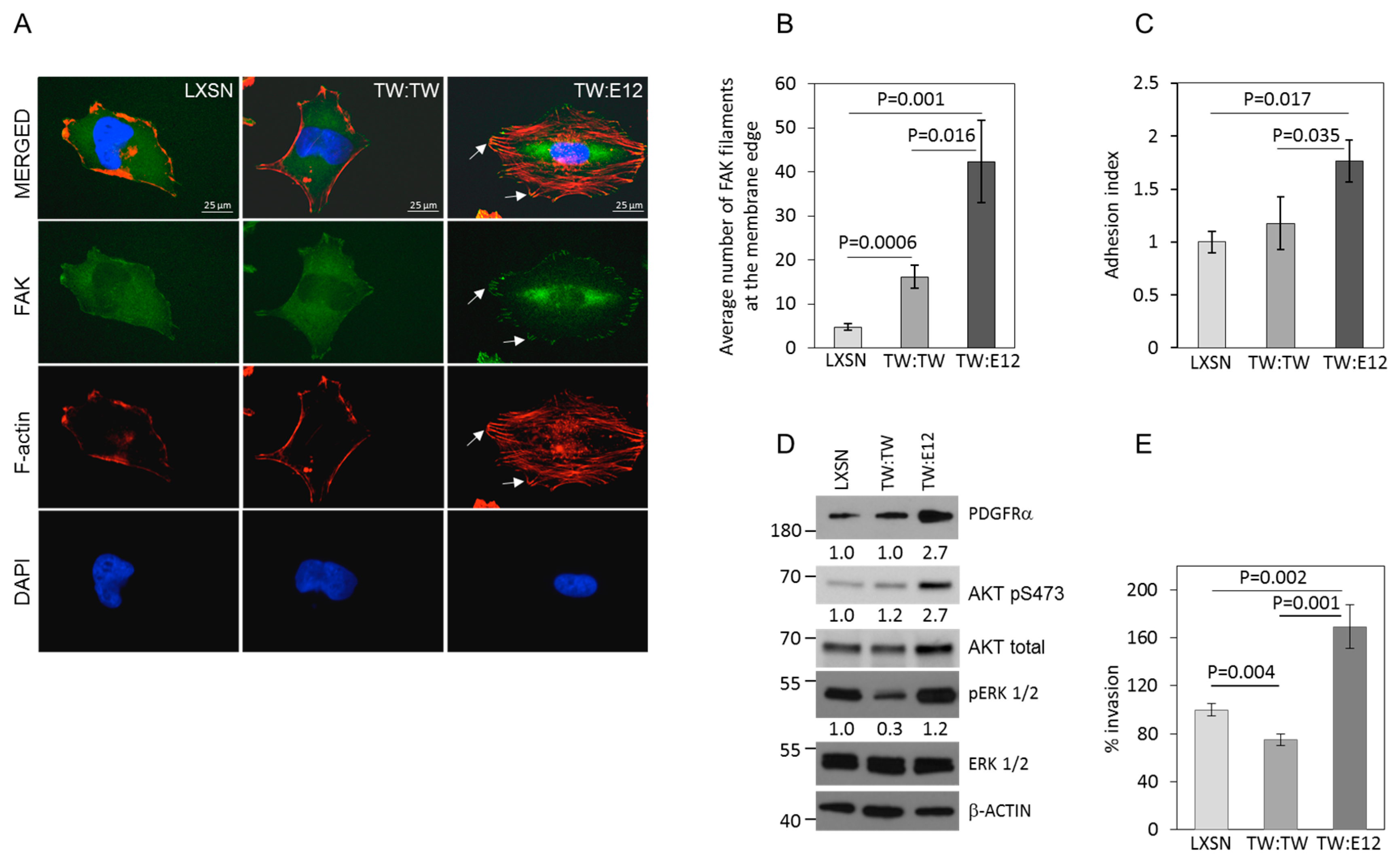 Cancers 11 01392 g004