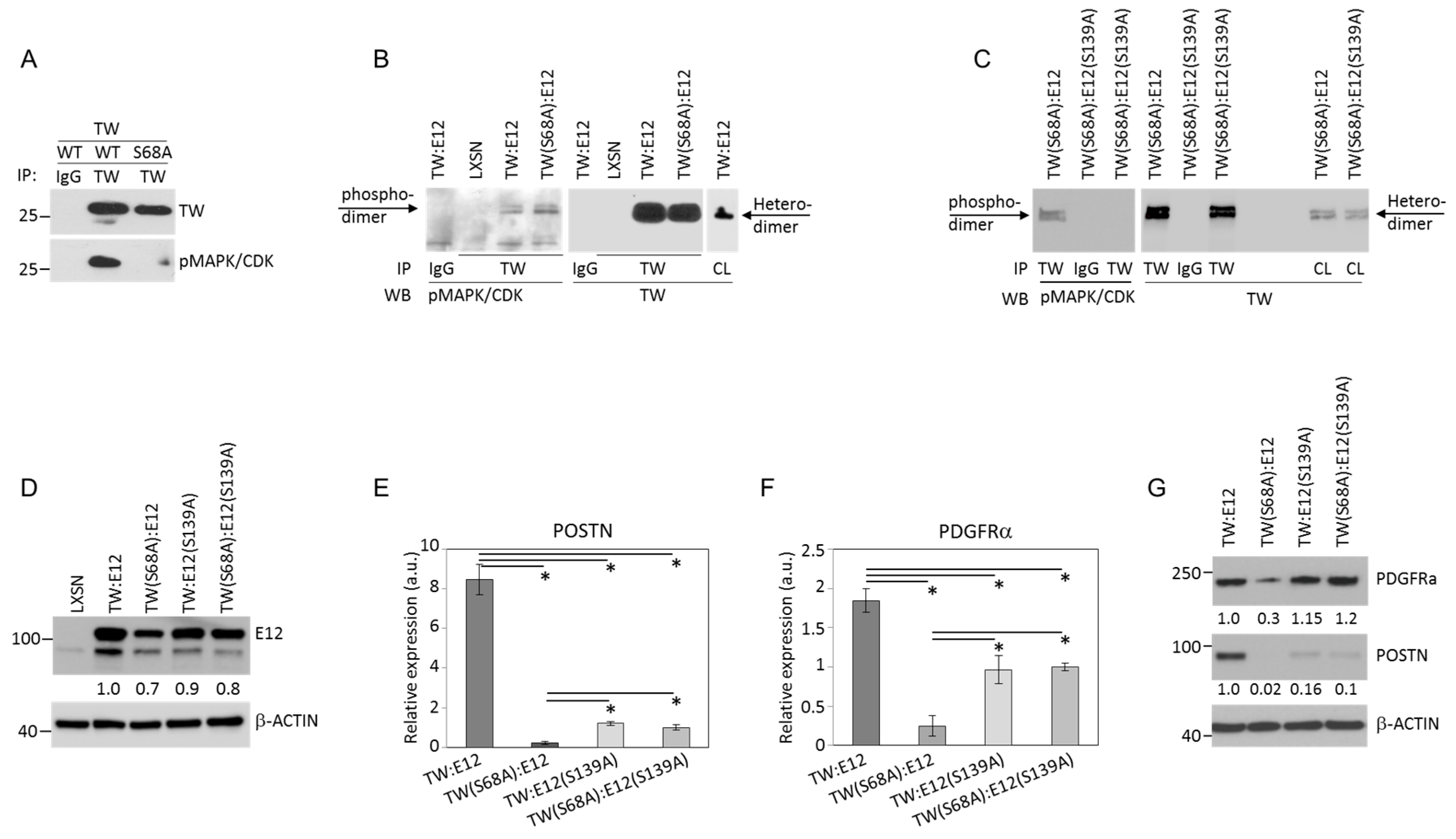 Cancers 11 01392 g005
