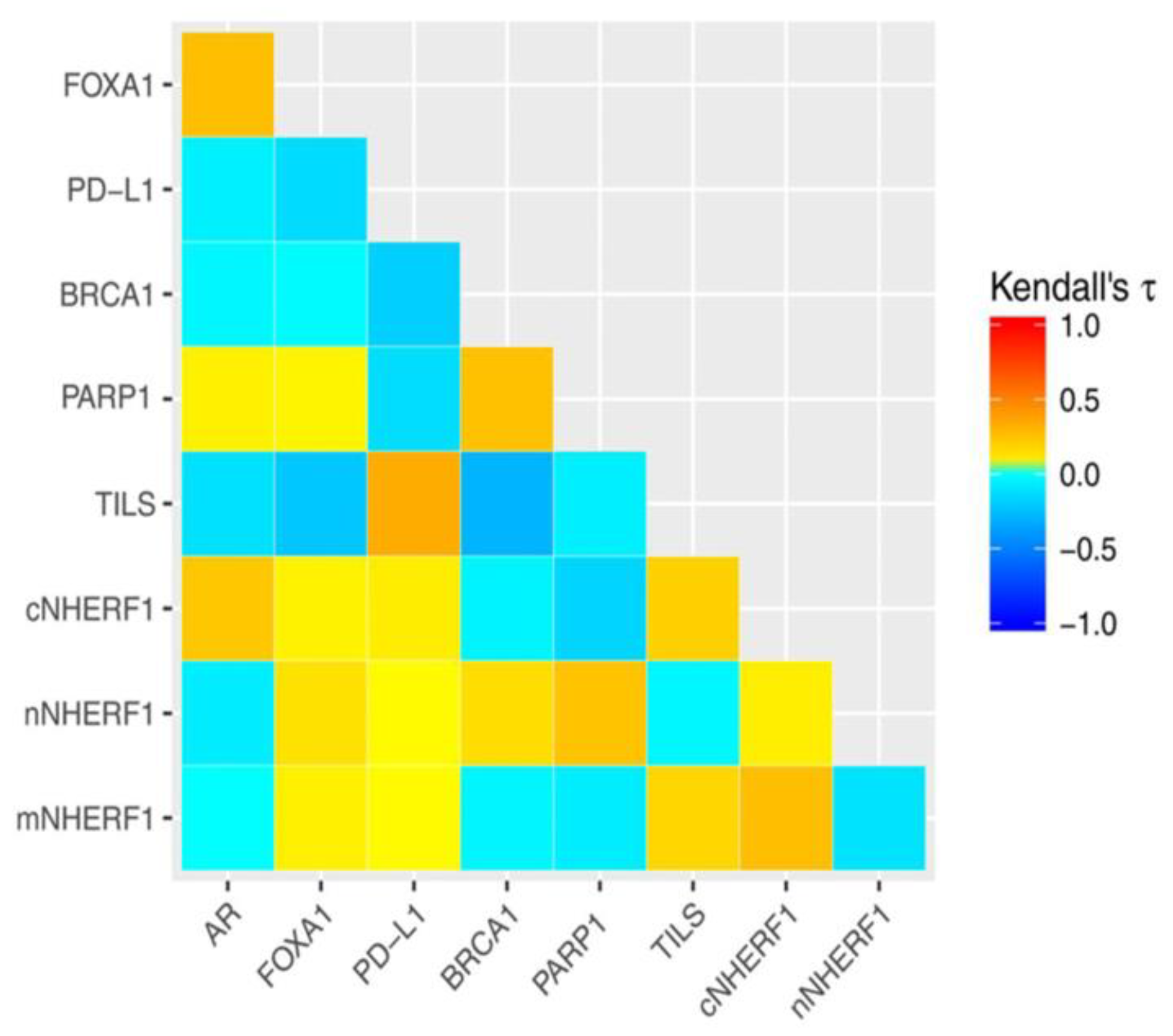 Cancers 11 01393 g003 Cancers 11 01393 g003