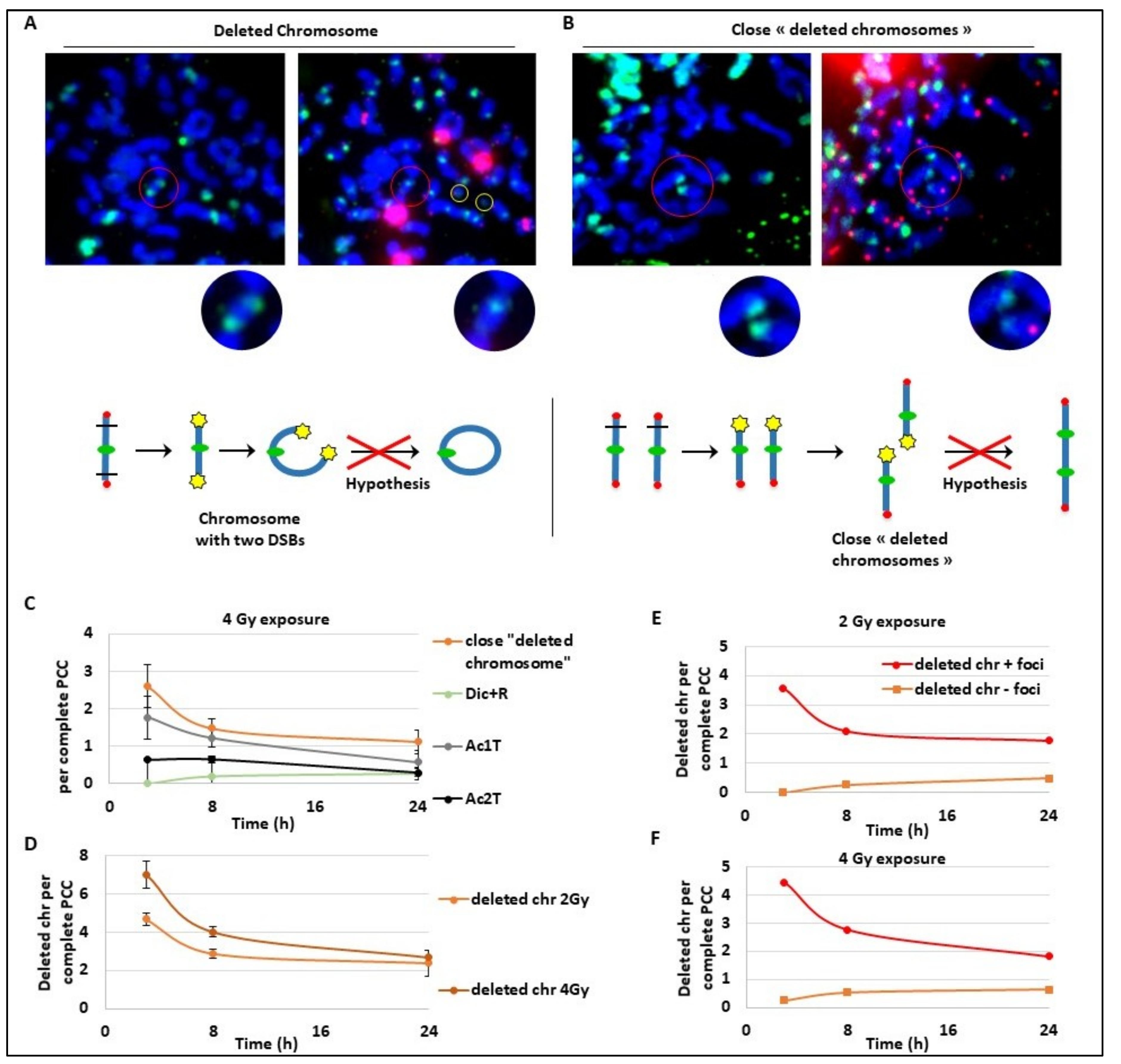 Cancers 11 01397 g004