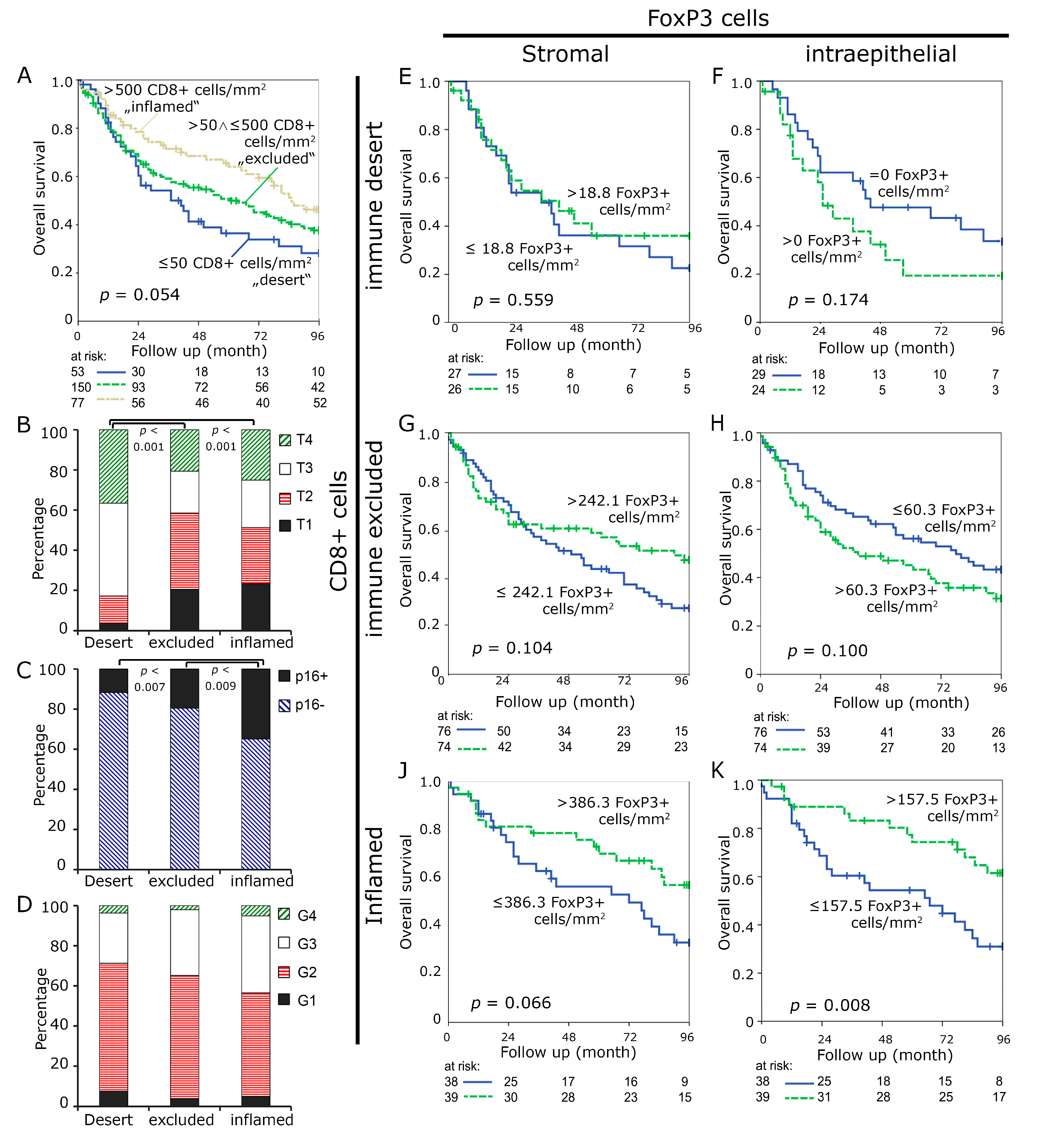 Cancers 11 01398 g002