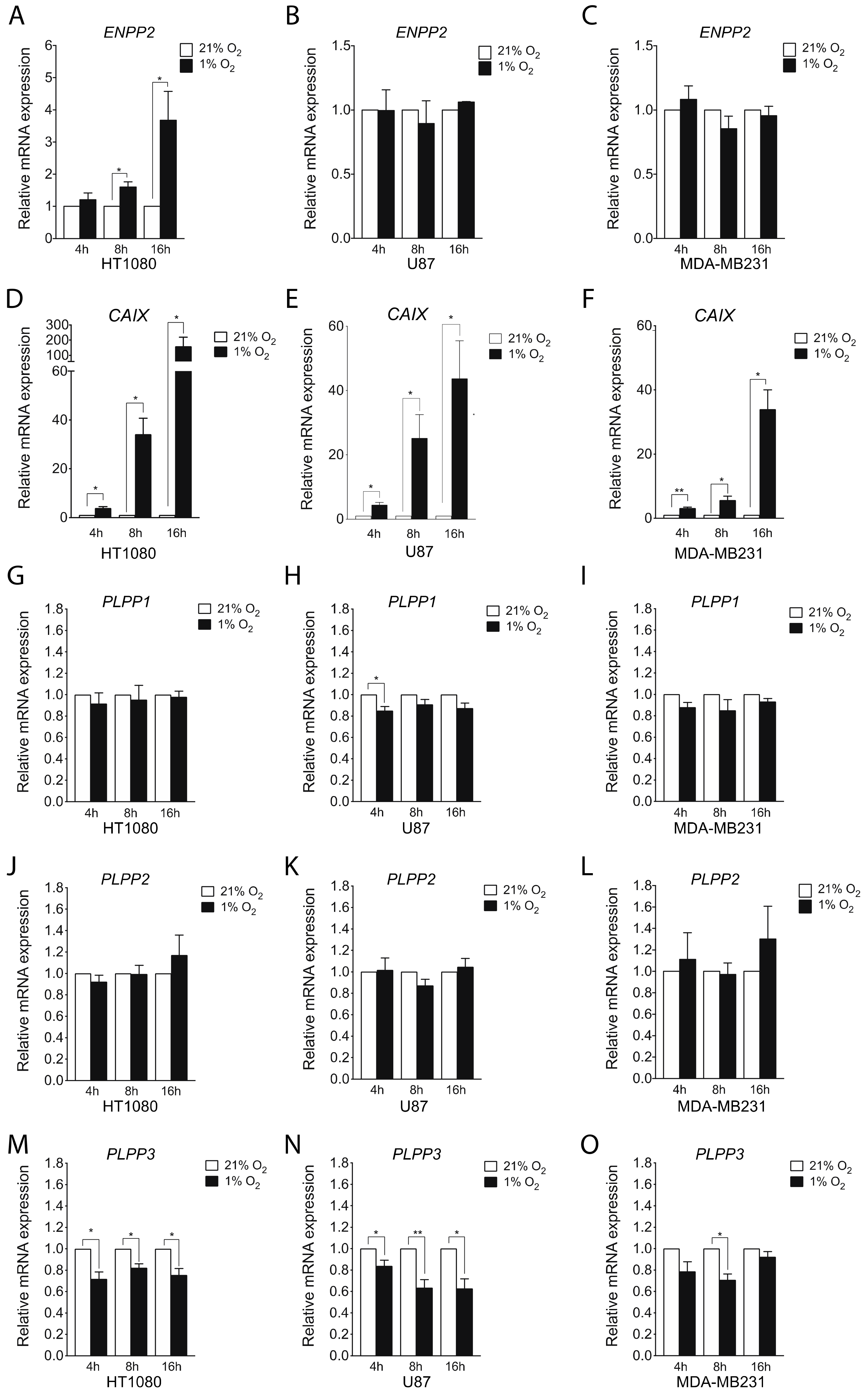 Cancers 11 01403 g001