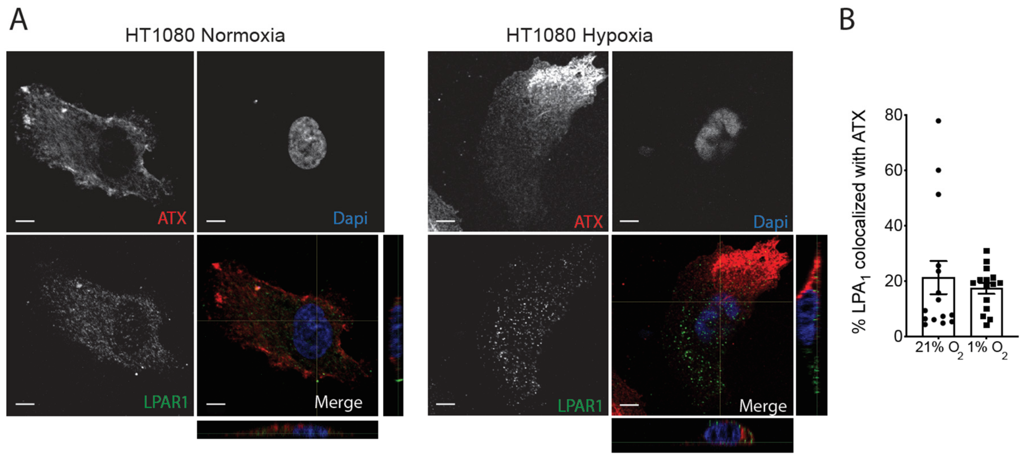 Cancers 11 01403 g007