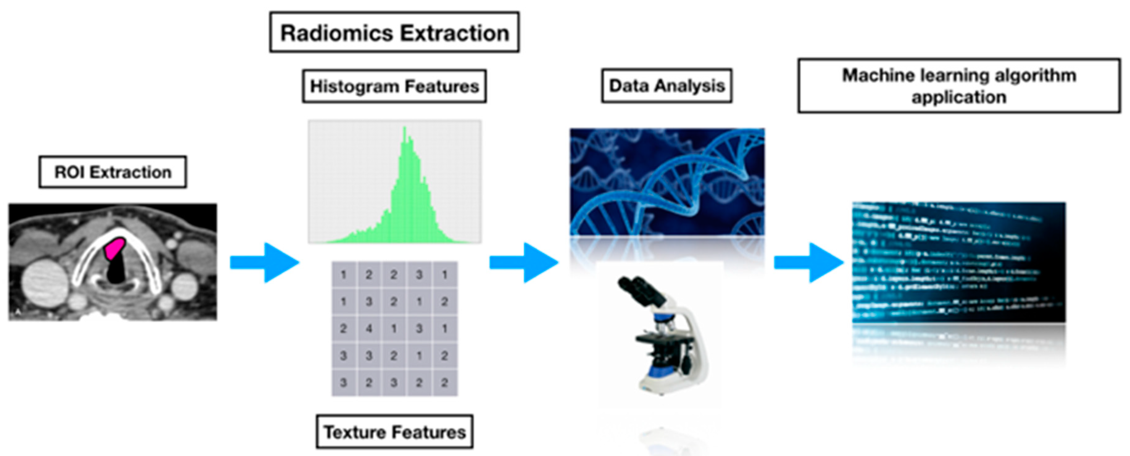 Cancers 11 01409 g002 Cancers 11 01409 g002