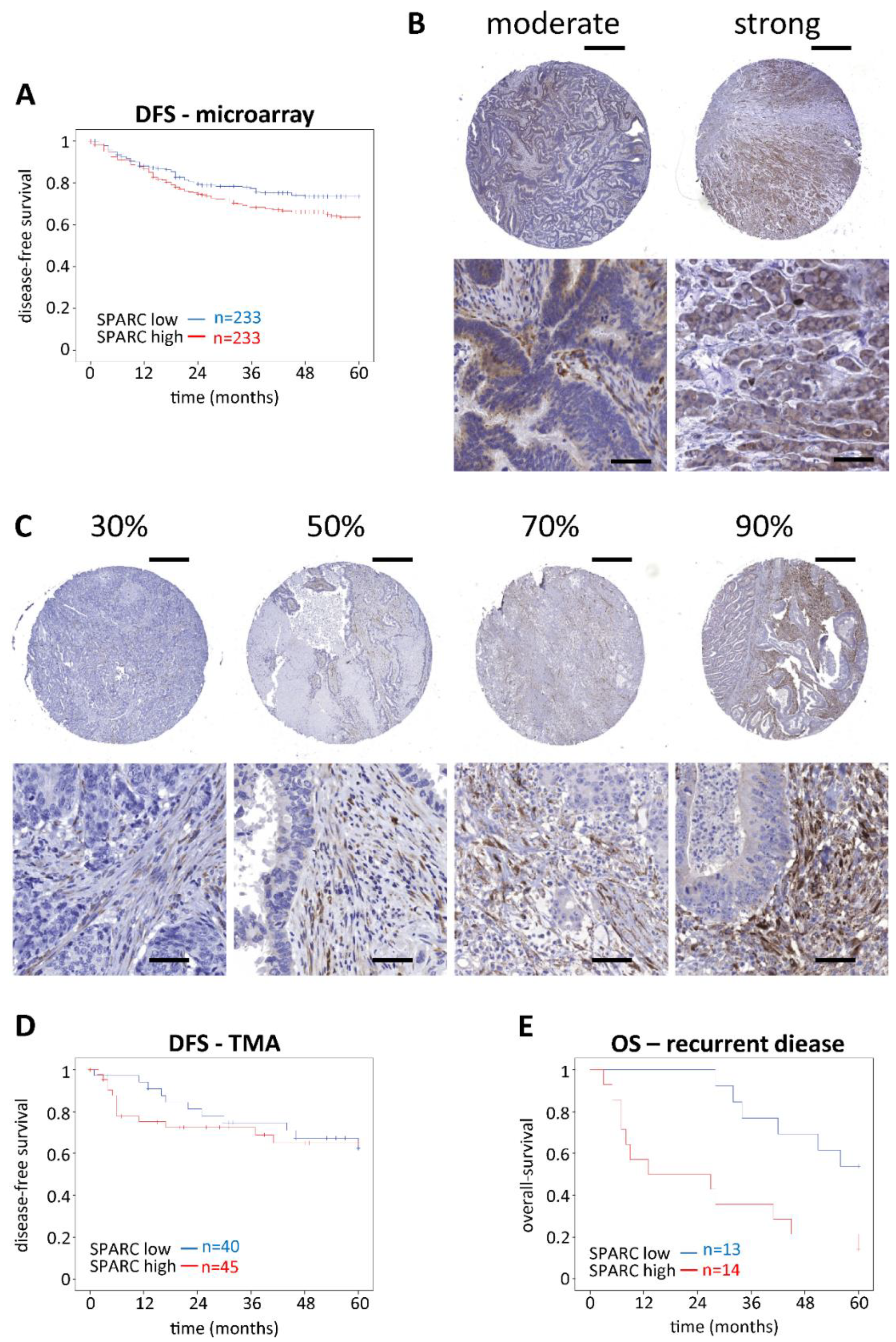 Cancers 11 01421 g001