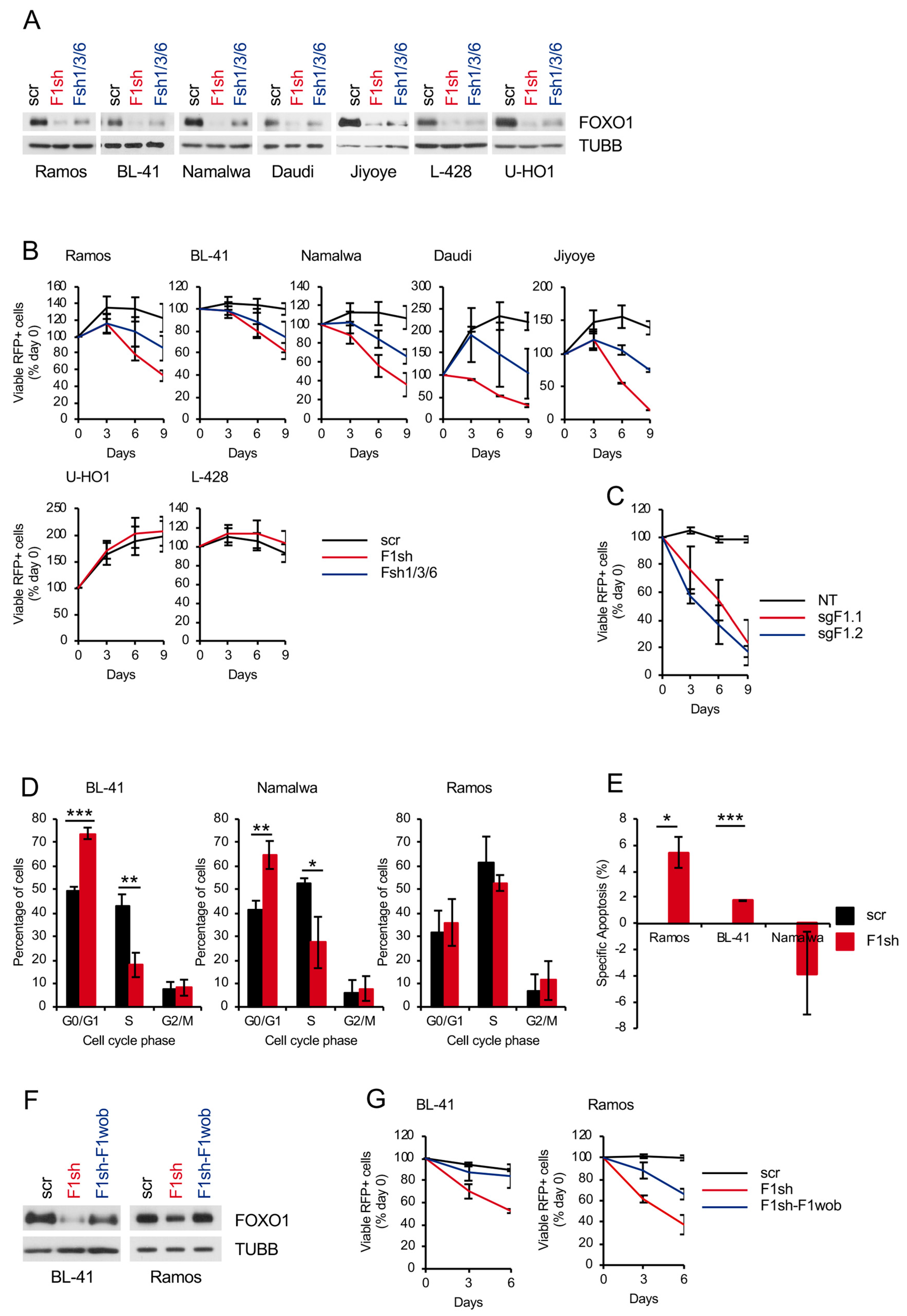 Cancers 11 01427 g001