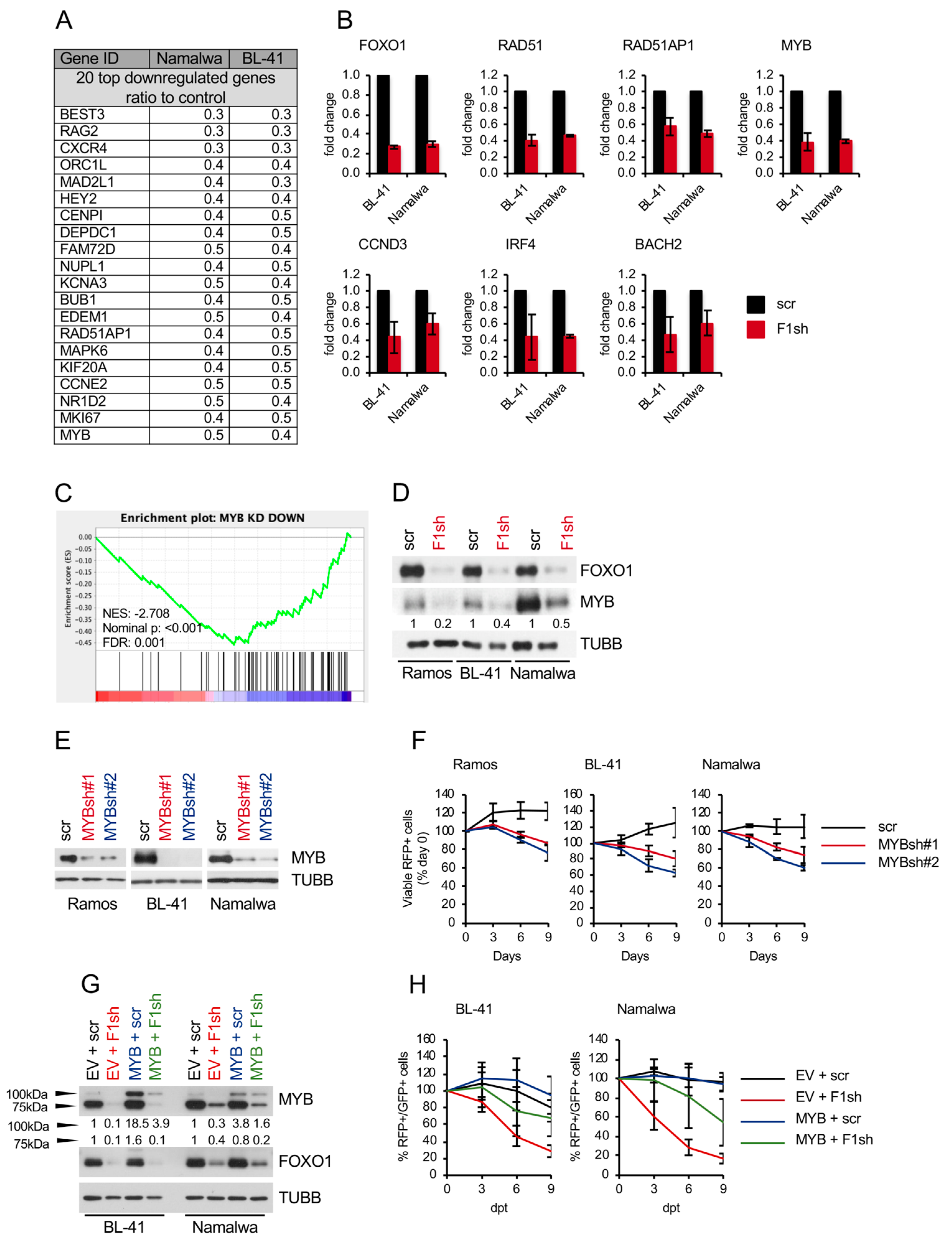 Cancers 11 01427 g002