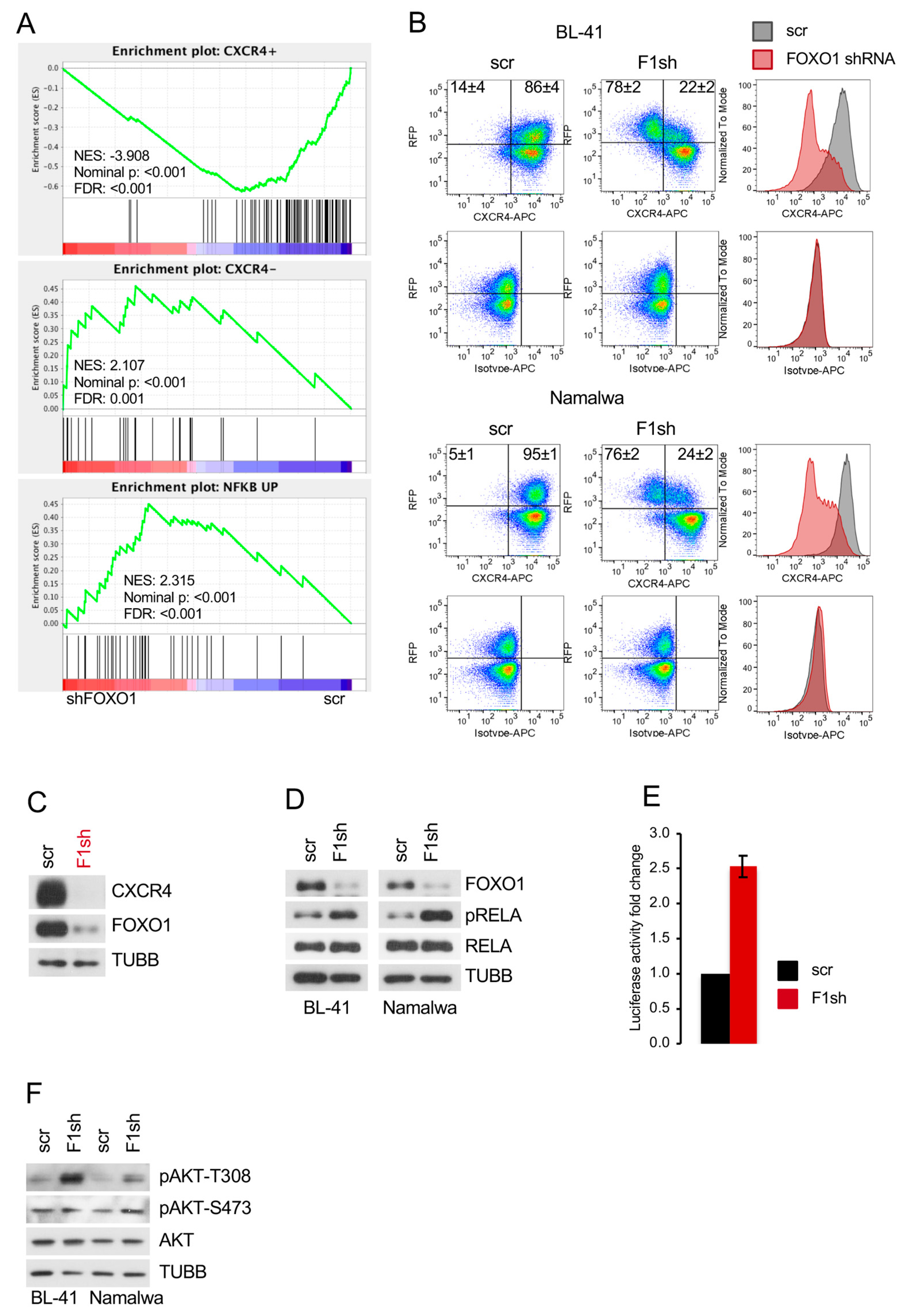Cancers 11 01427 g003