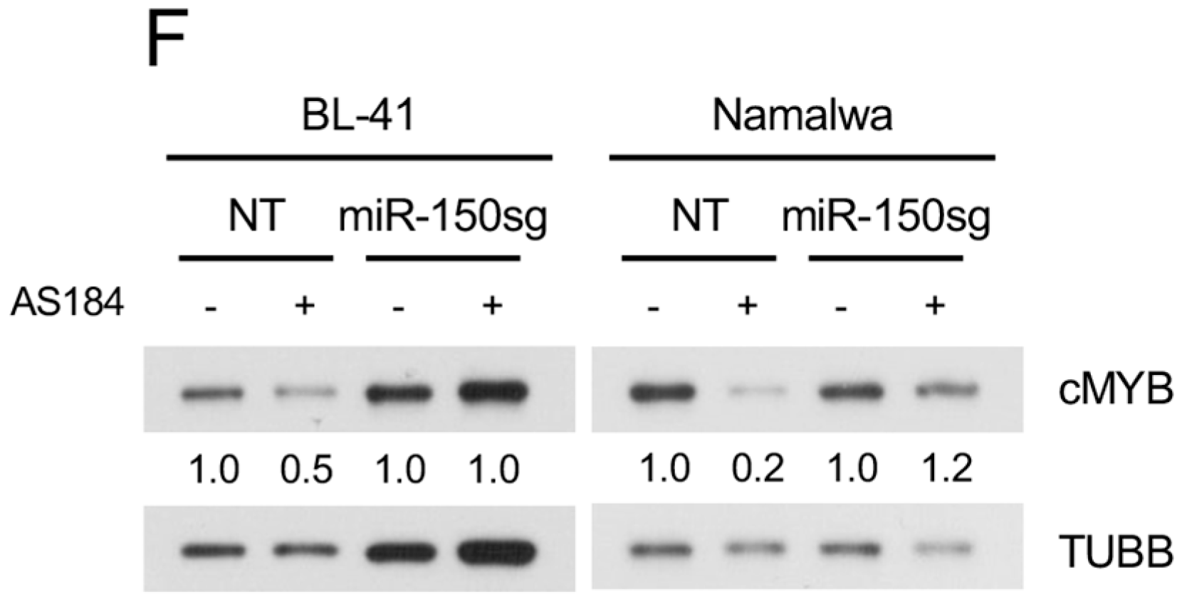 Cancers 11 01427 g006b