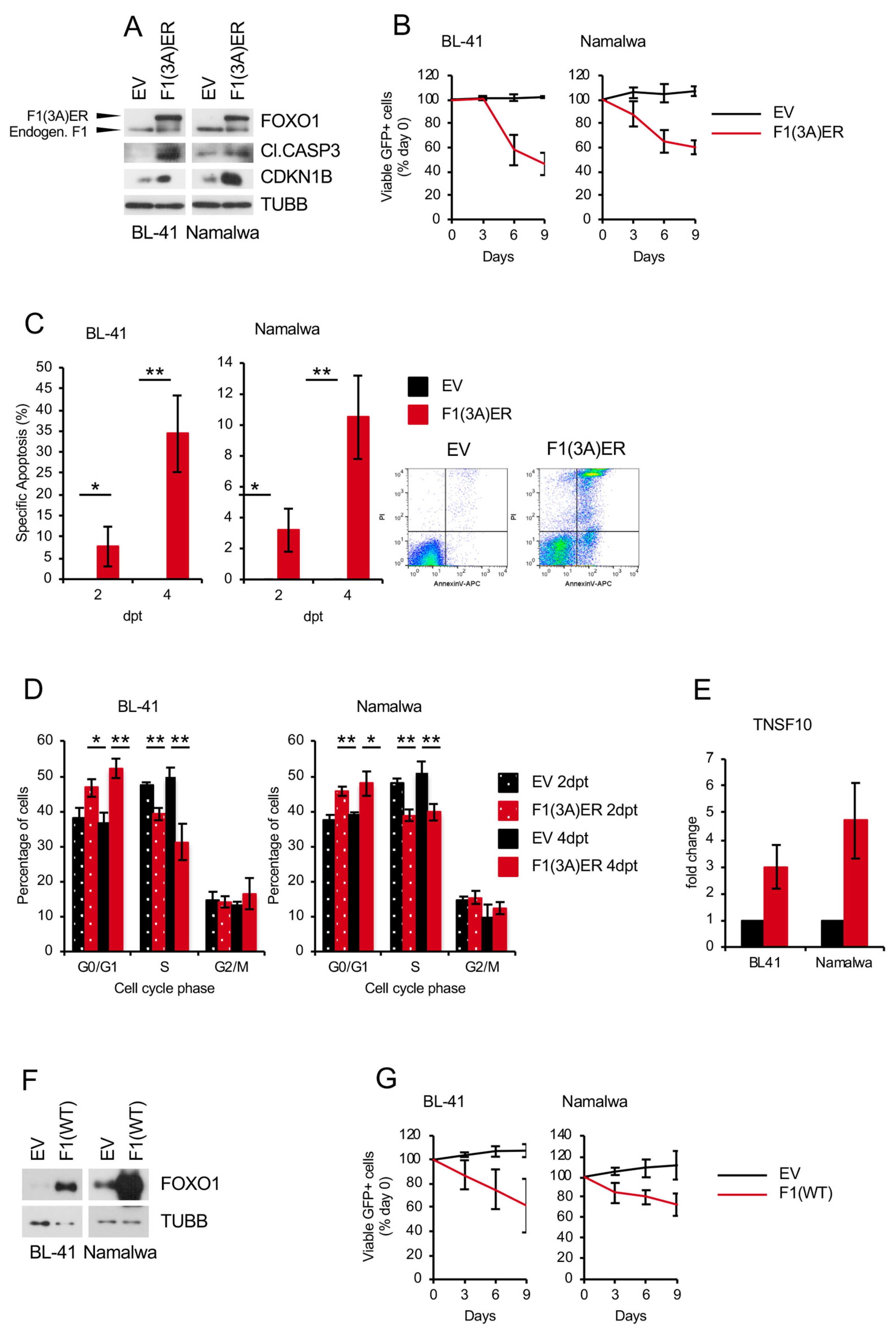 Cancers 11 01427 g007