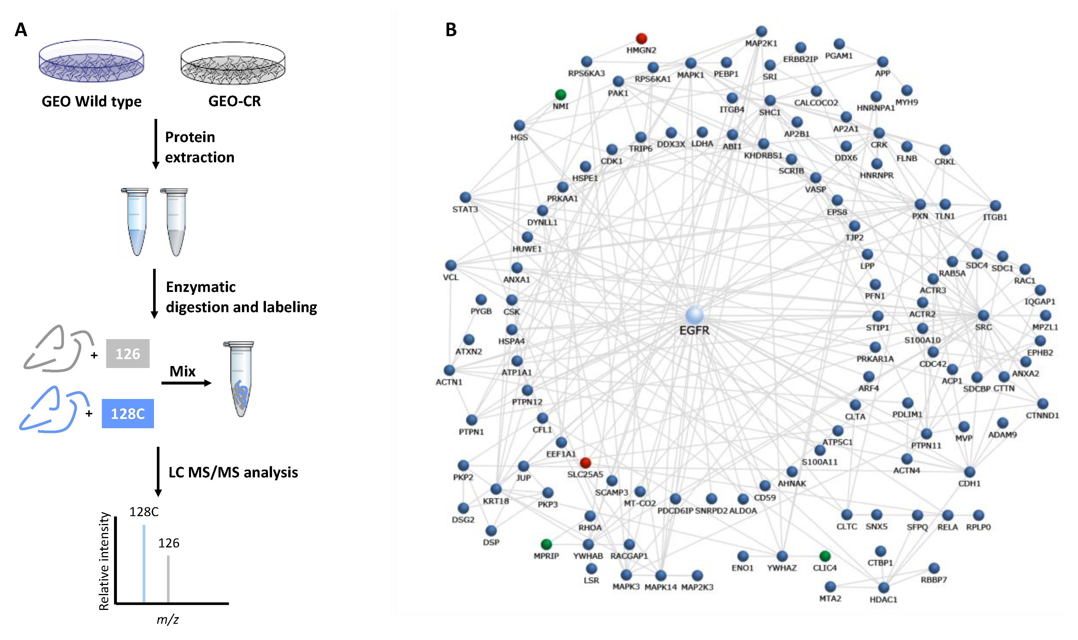 Cancers 11 01430 g001 Cancers 11 01430 g001