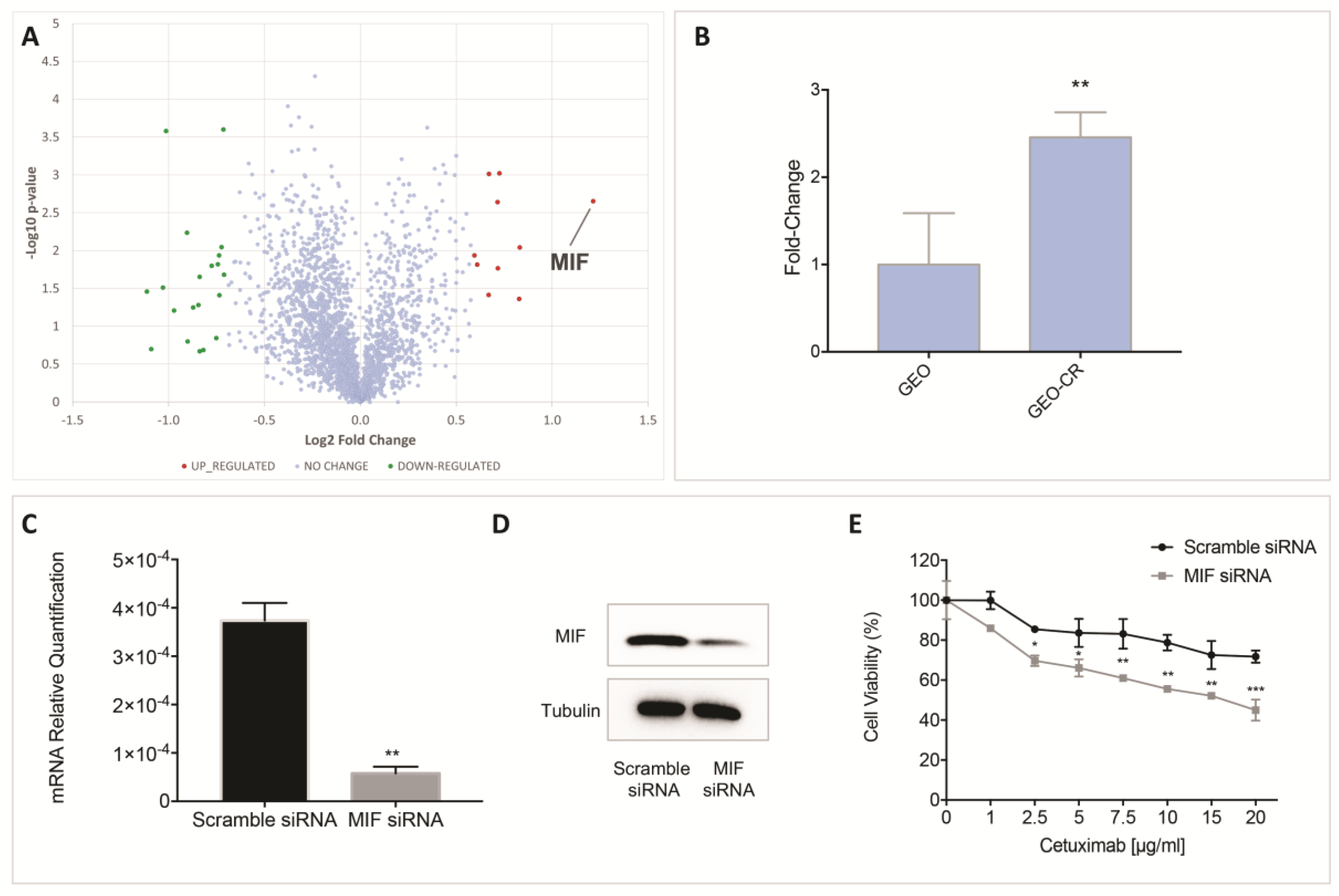 Cancers 11 01430 g002 Cancers 11 01430 g002