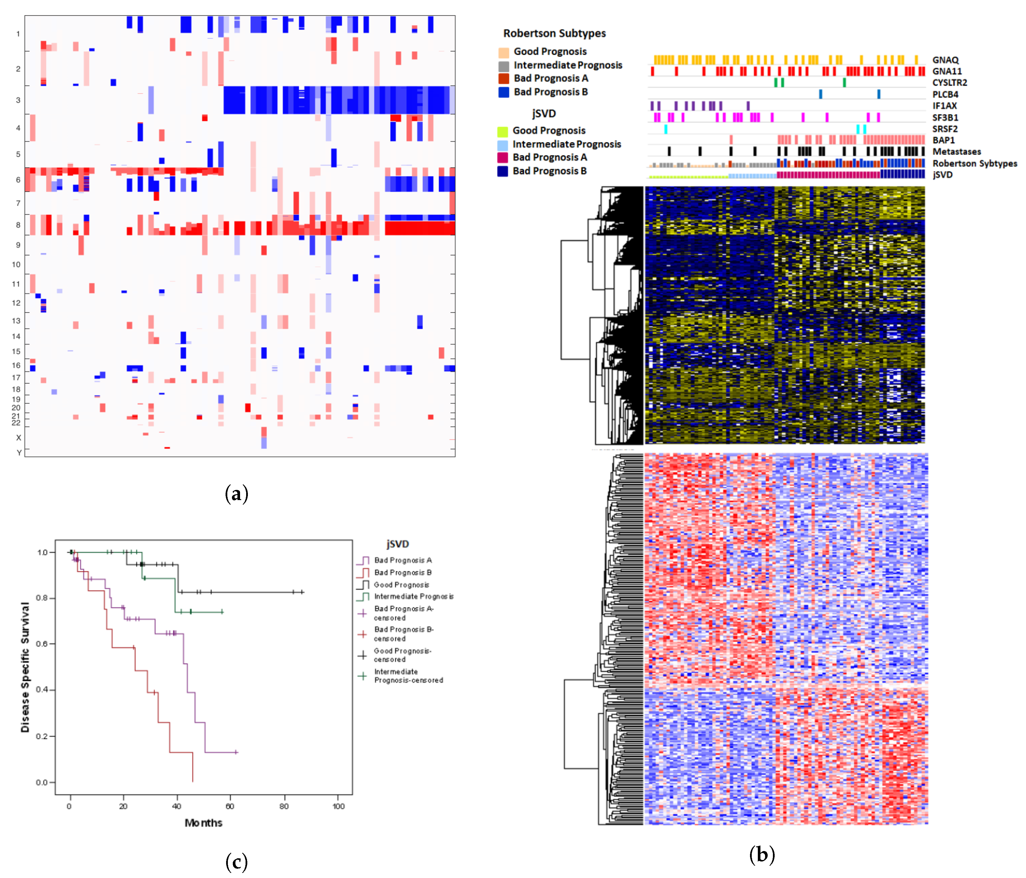 Cancers 11 01434 g001 Cancers 11 01434 g001