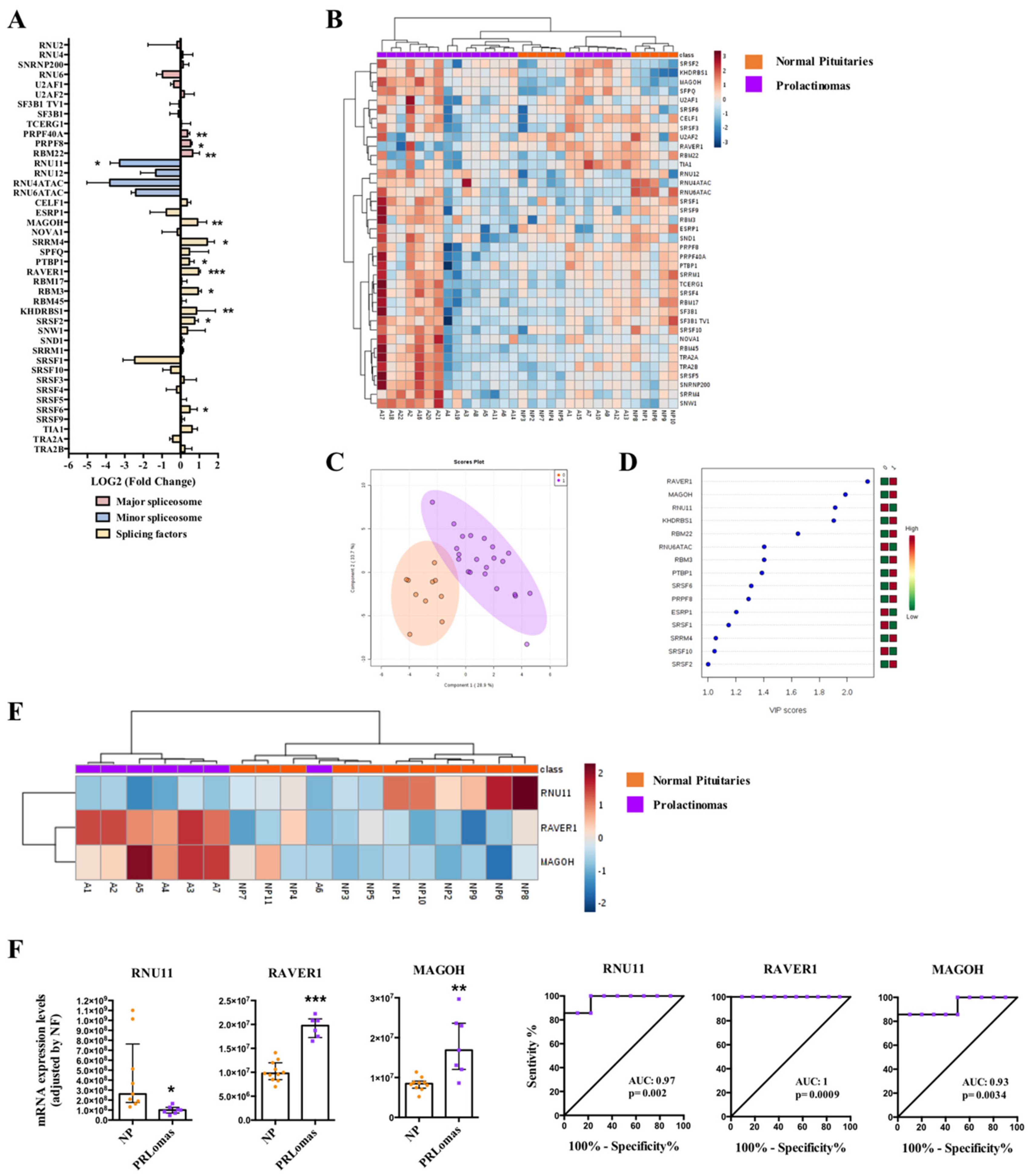 Cancers 11 01439 g004 Cancers 11 01439 g004